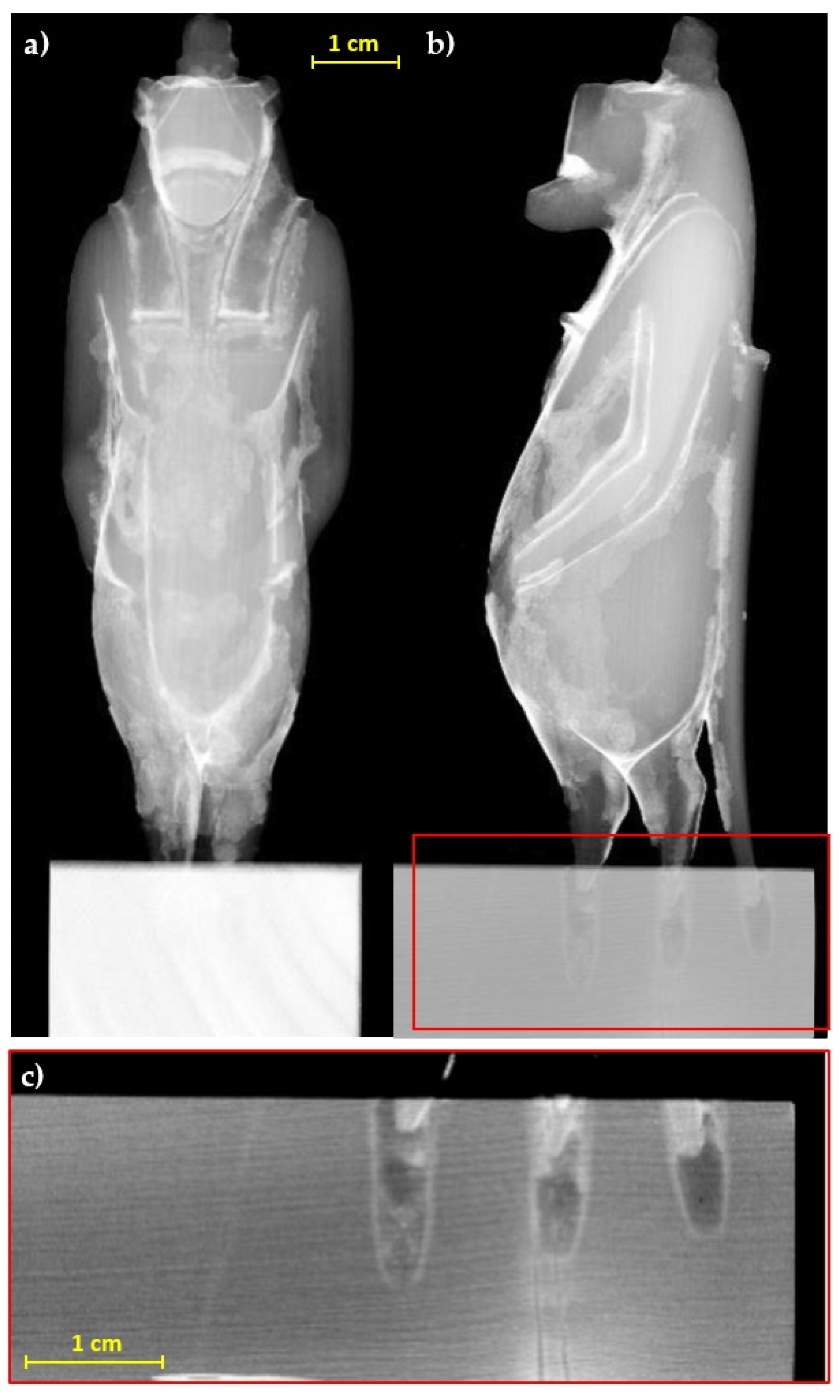 Jimaging 07 00229 g003