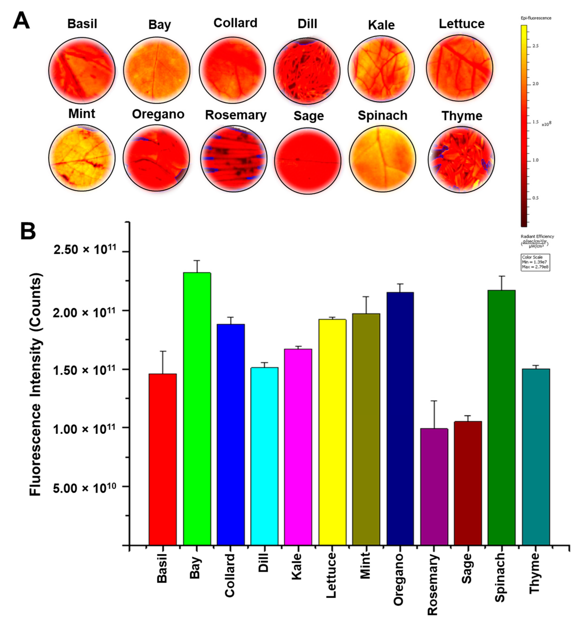 Jimaging 07 00256 g001