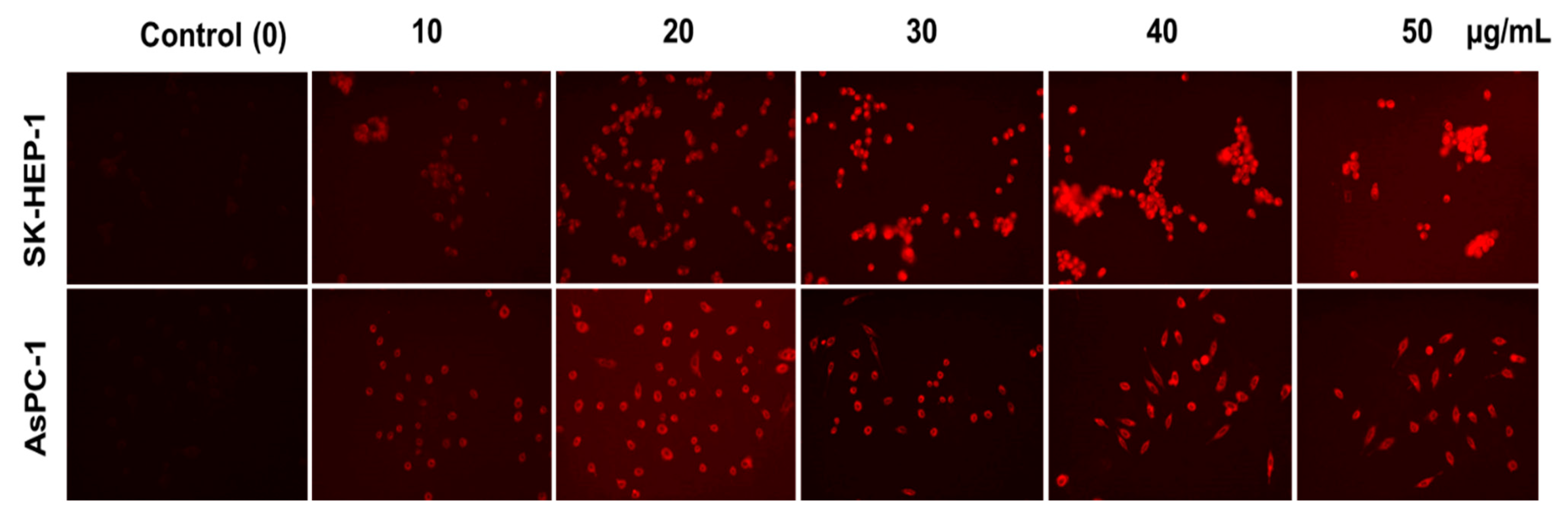 Jimaging 07 00256 g006