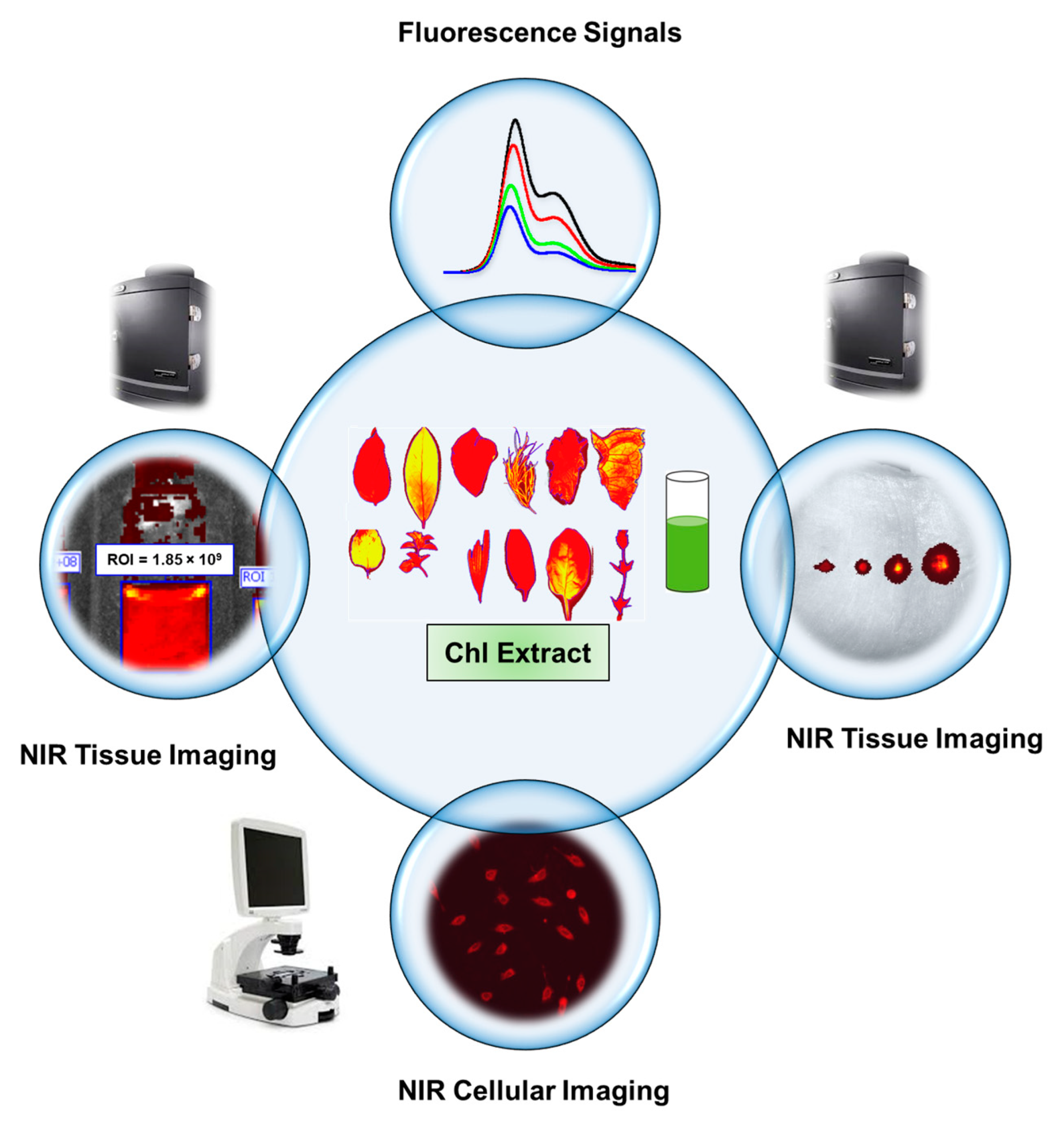 Jimaging 07 00256 sch001