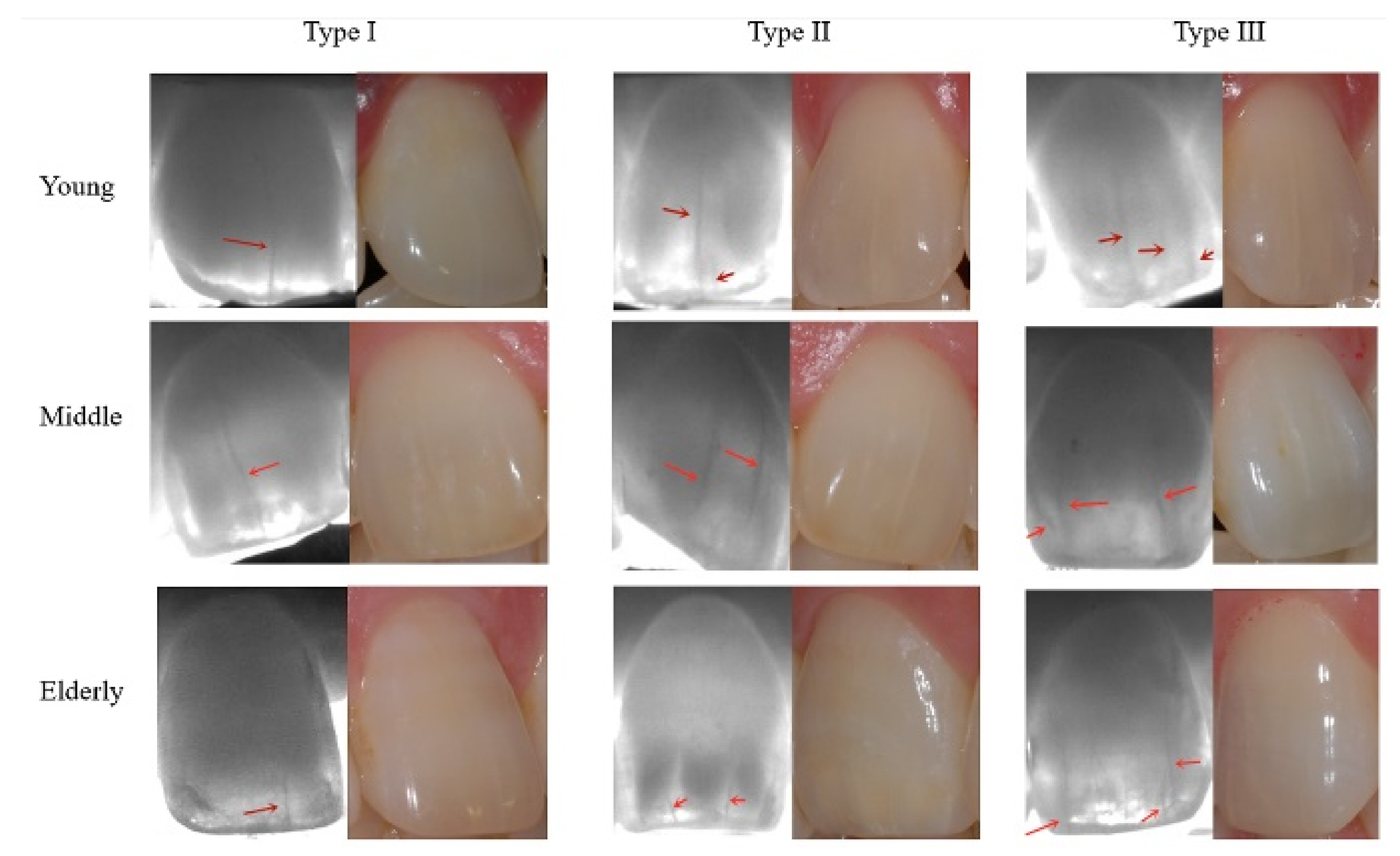 Jimaging 07 00259 g002