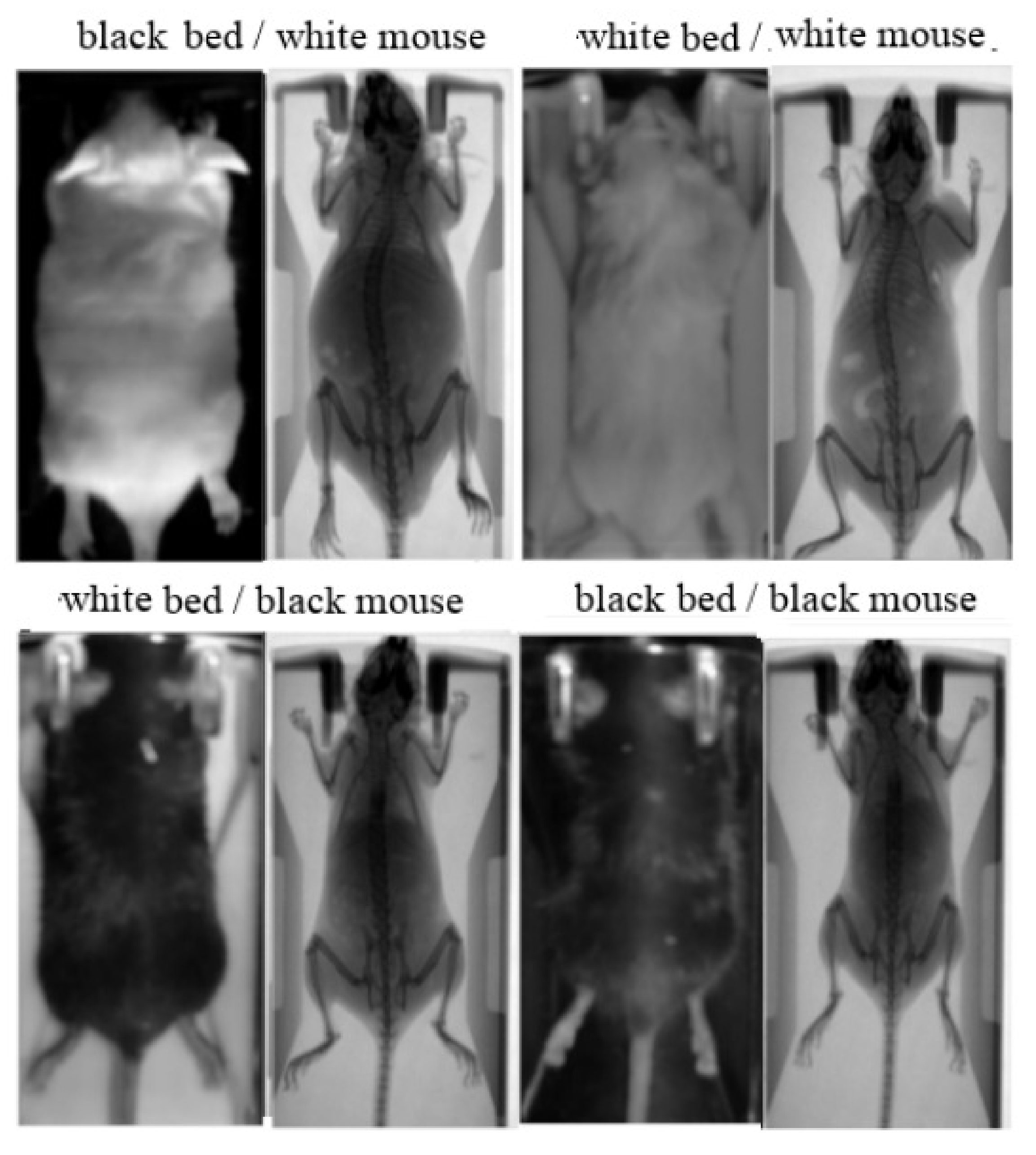 Jimaging 07 00262 g002