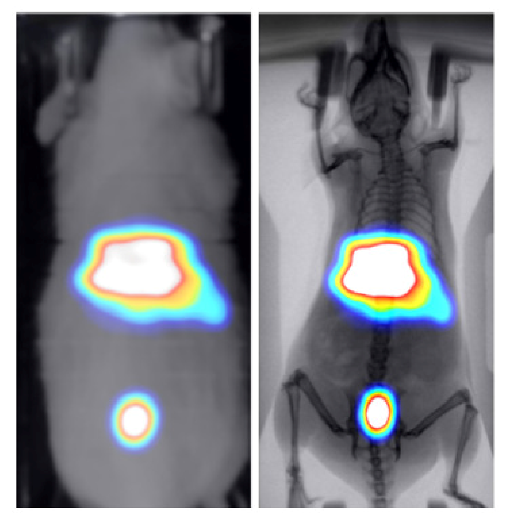 Jimaging 07 00262 g007