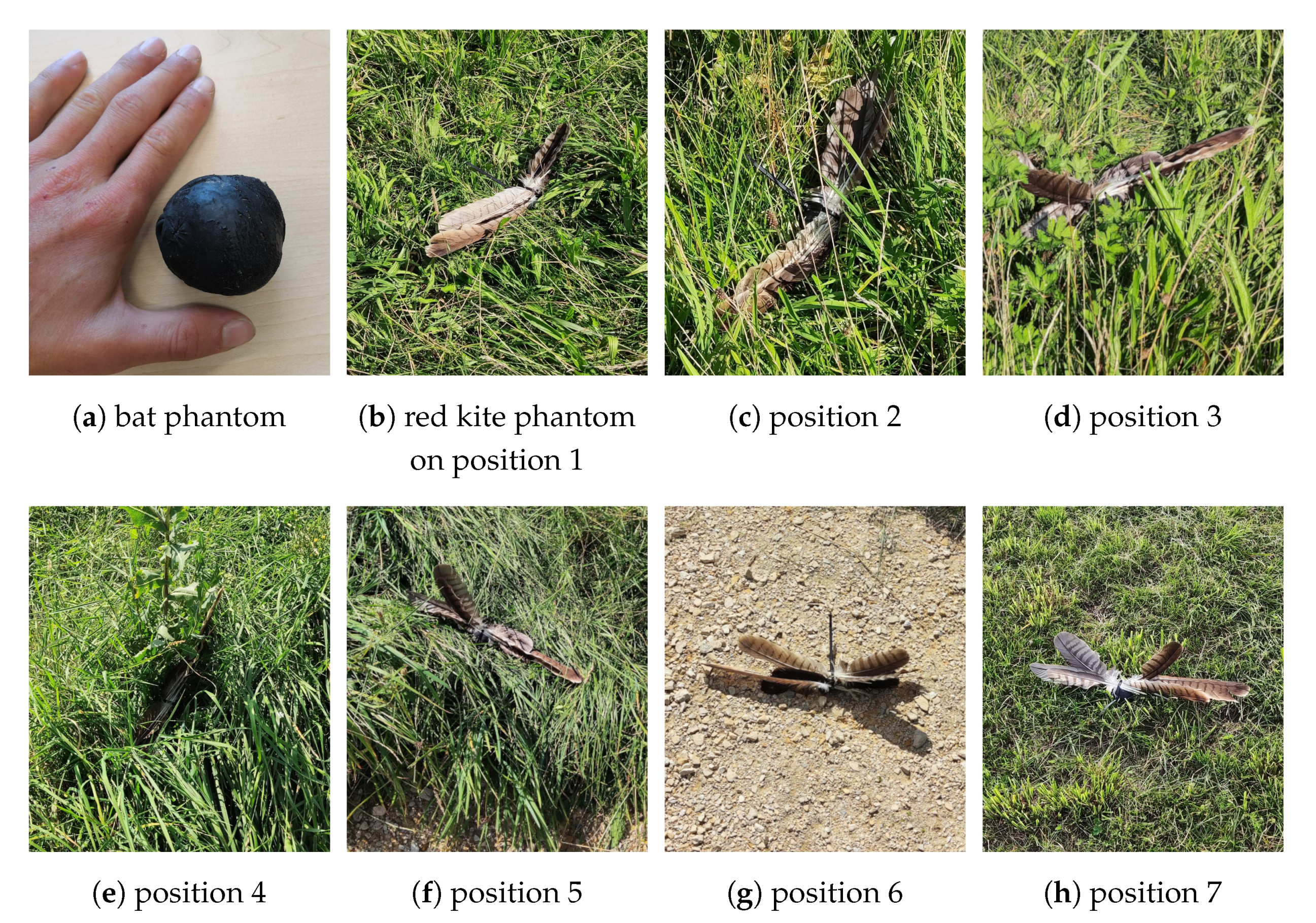 Jimaging 07 00272 g025