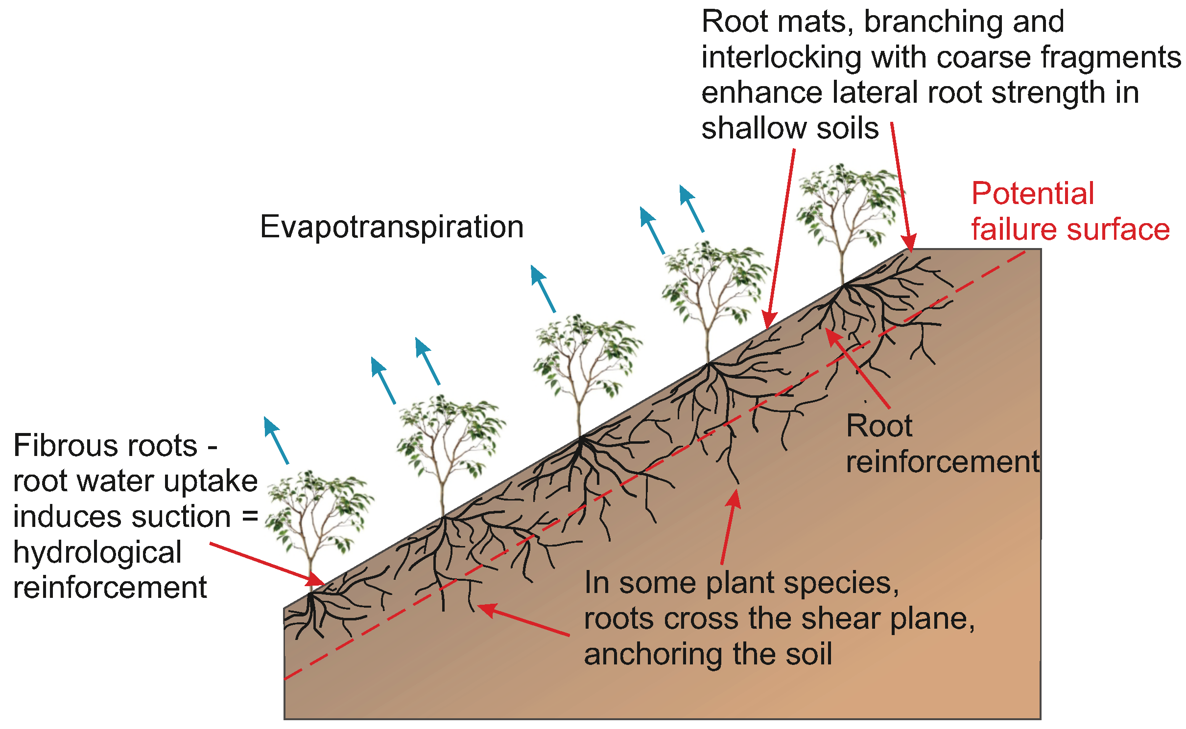 Jimaging 08 00005 g001