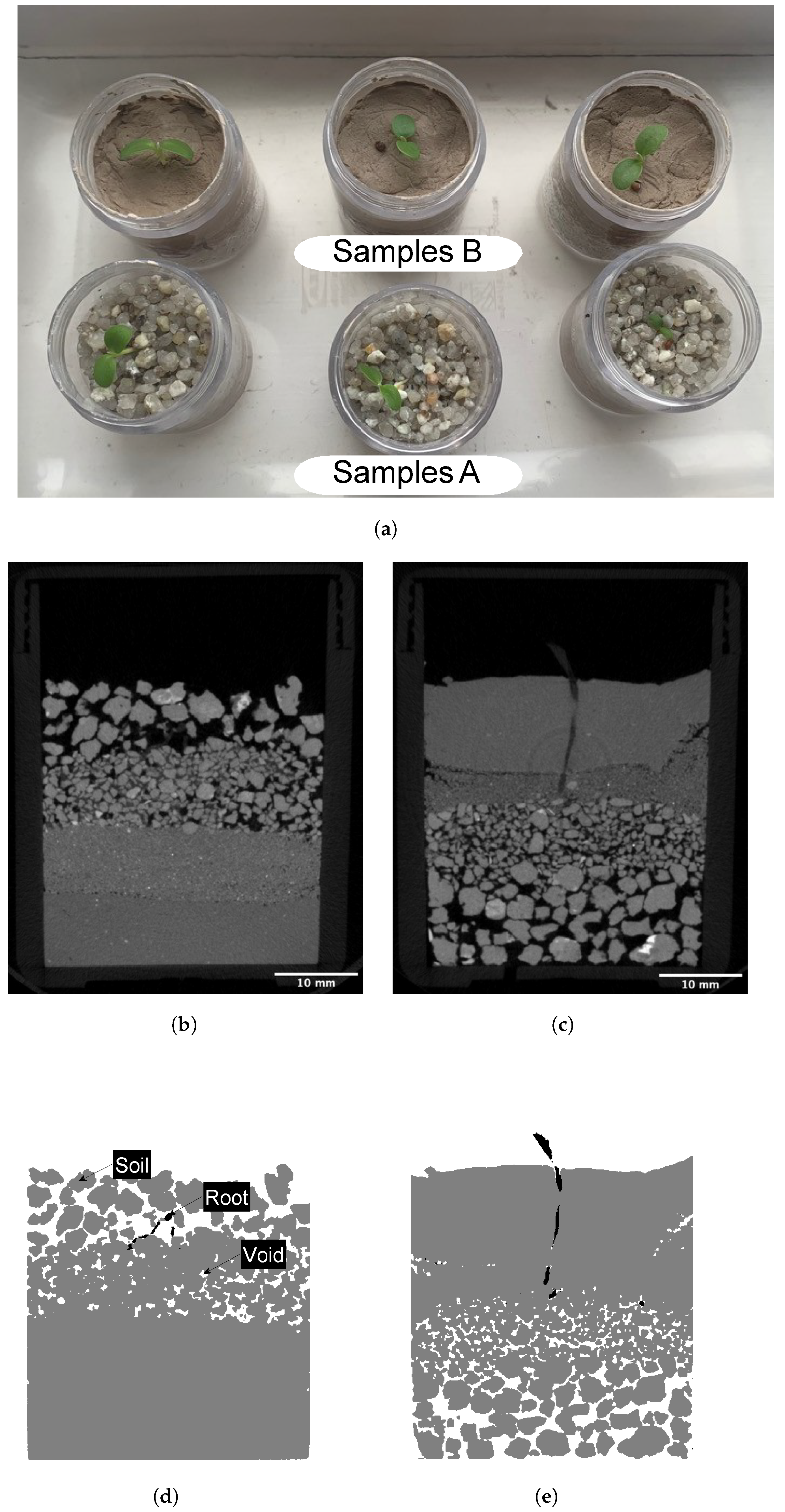 Jimaging 08 00005 g002
