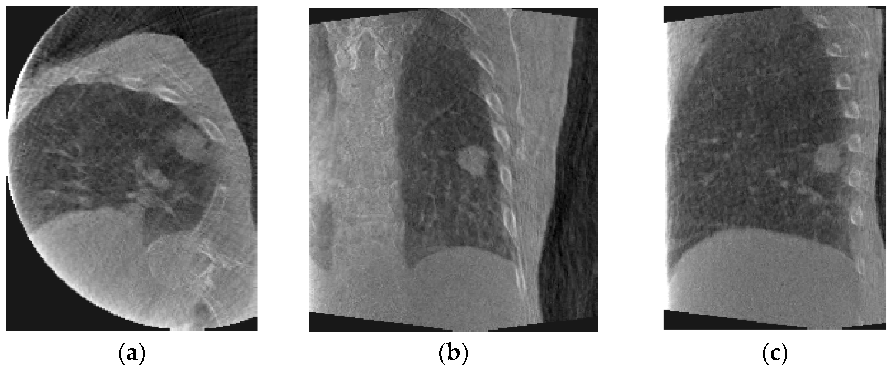 Jimaging 08 00017 g005