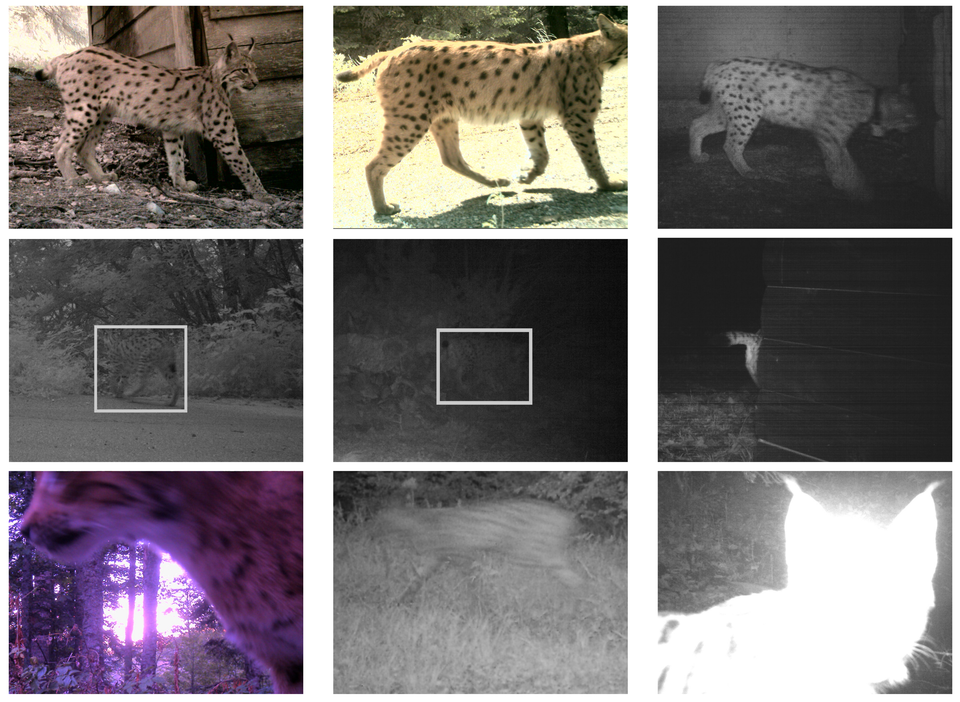 Jimaging 08 00020 g003