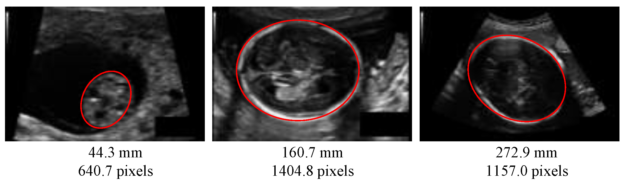 Jimaging 08 00023 g001