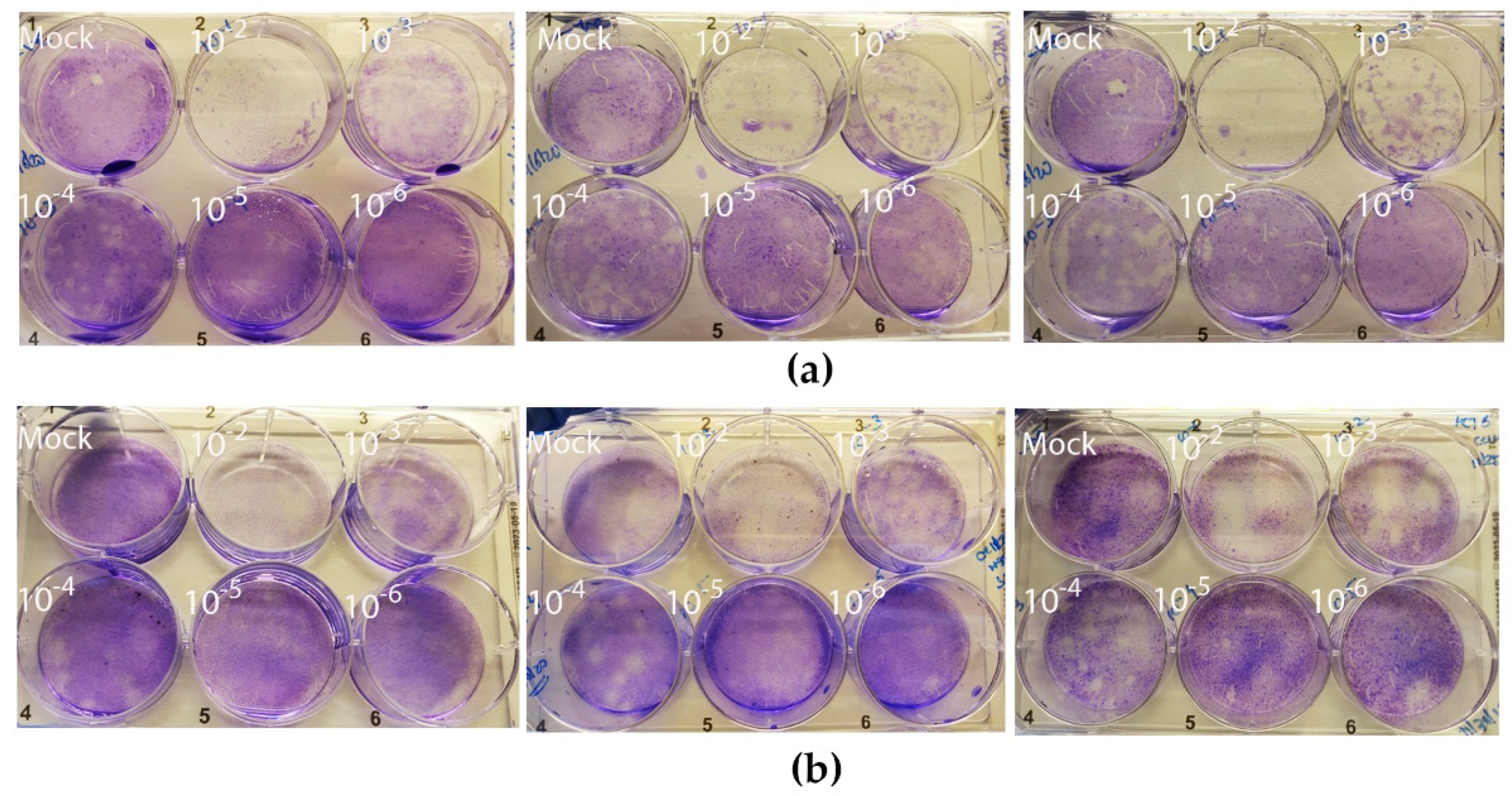 Jimaging 08 00024 g002