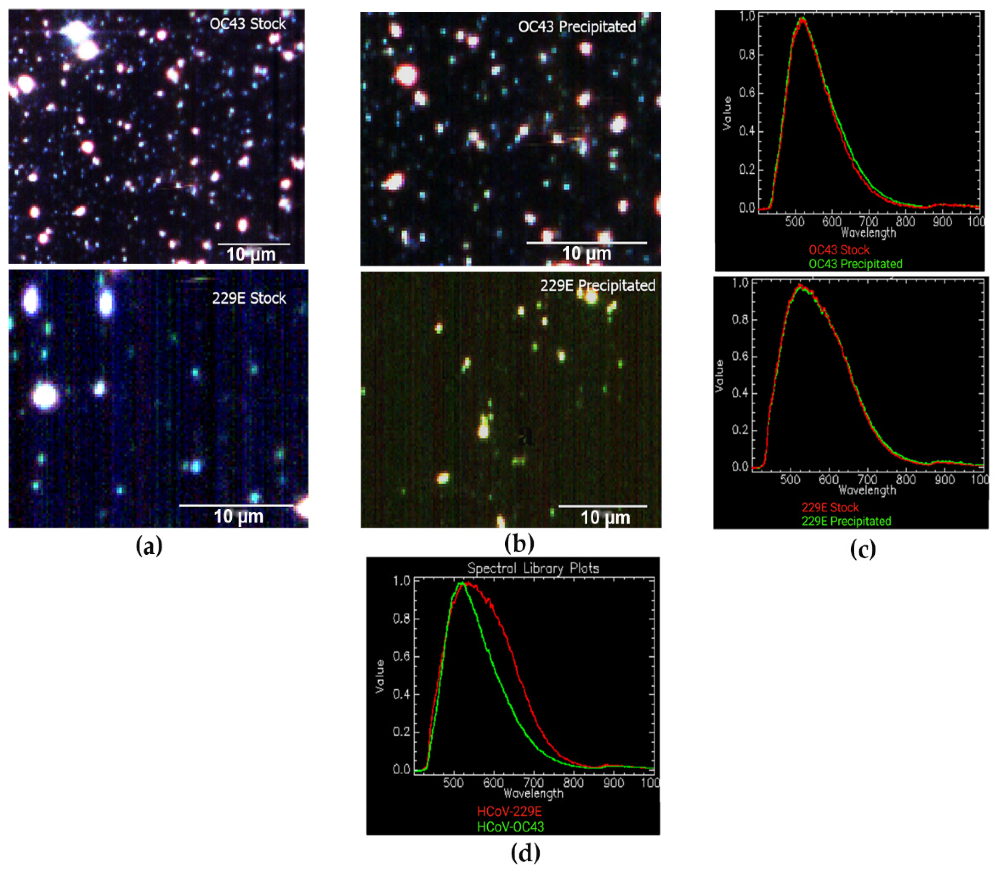 Jimaging 08 00024 g003