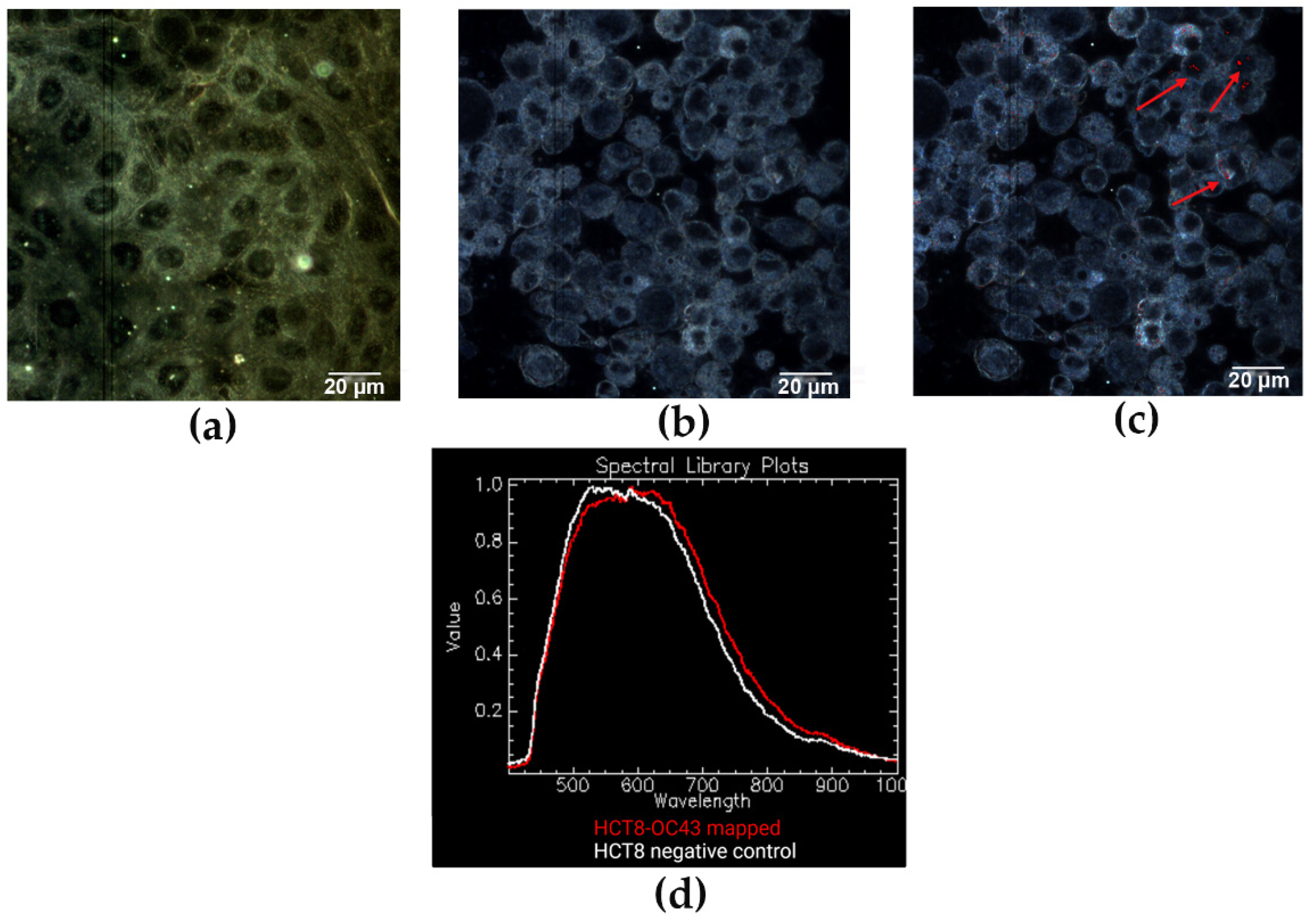 Jimaging 08 00024 g004