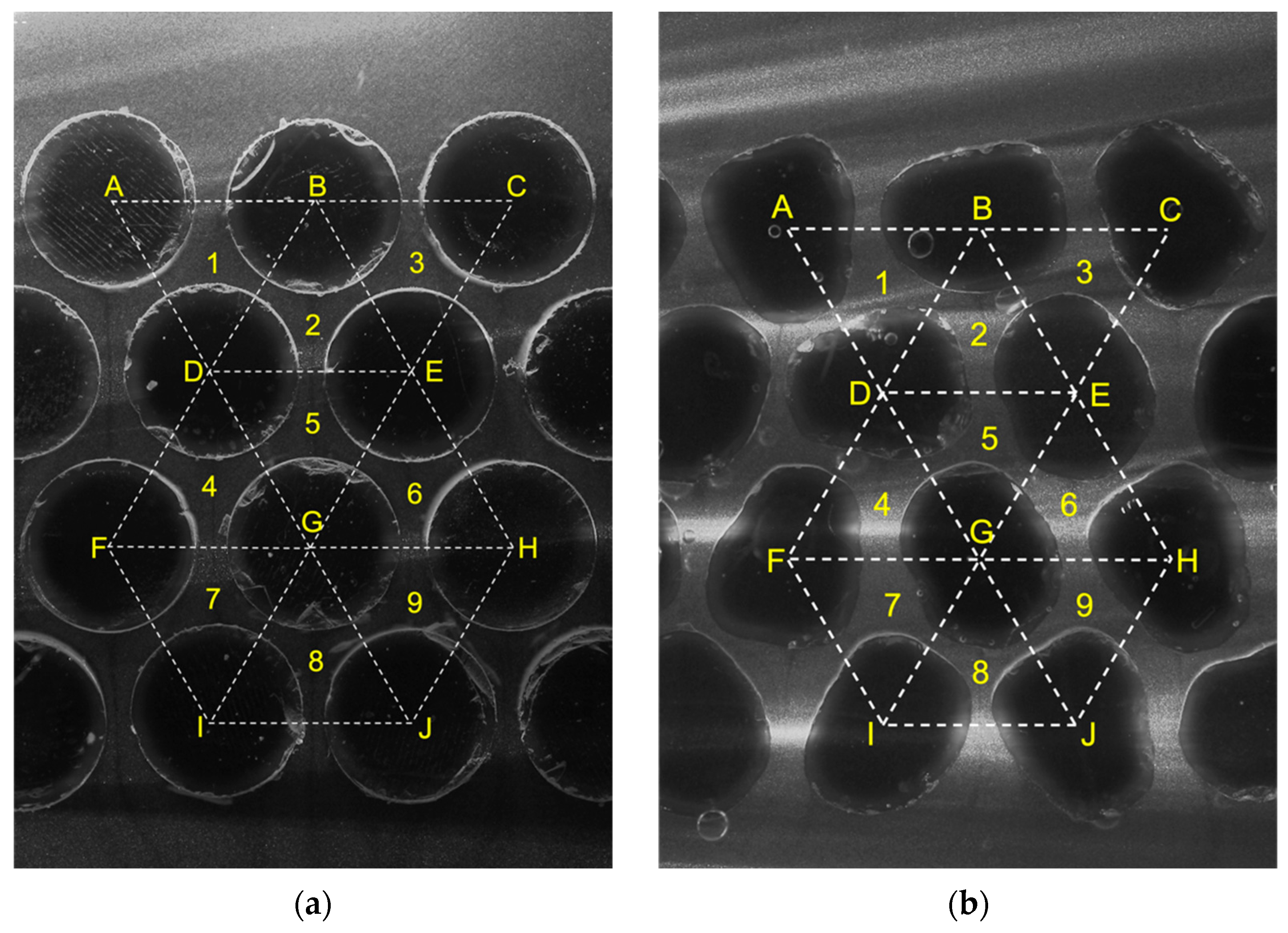 Jimaging 08 00032 g009