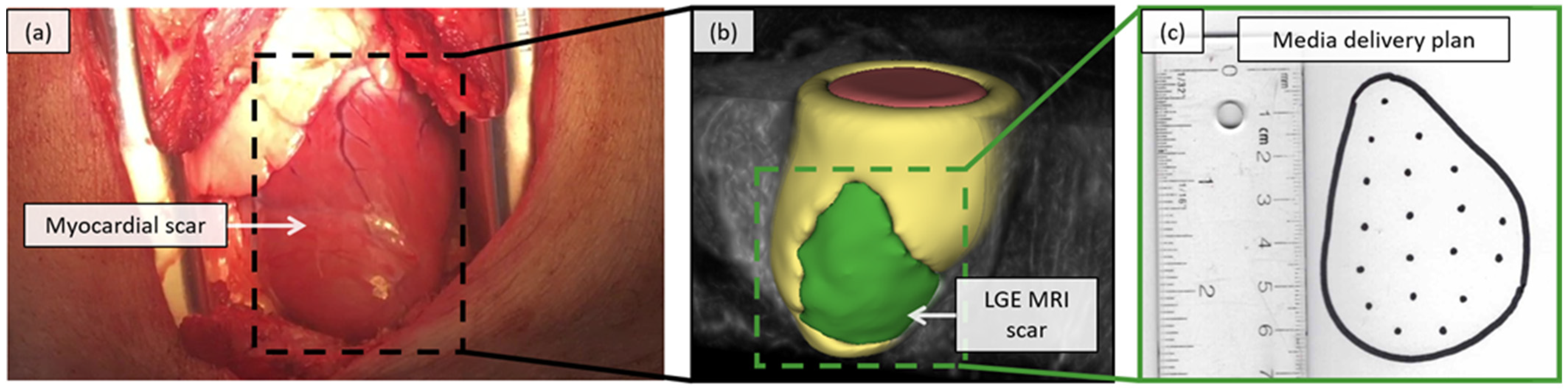 Jimaging 08 00033 g001
