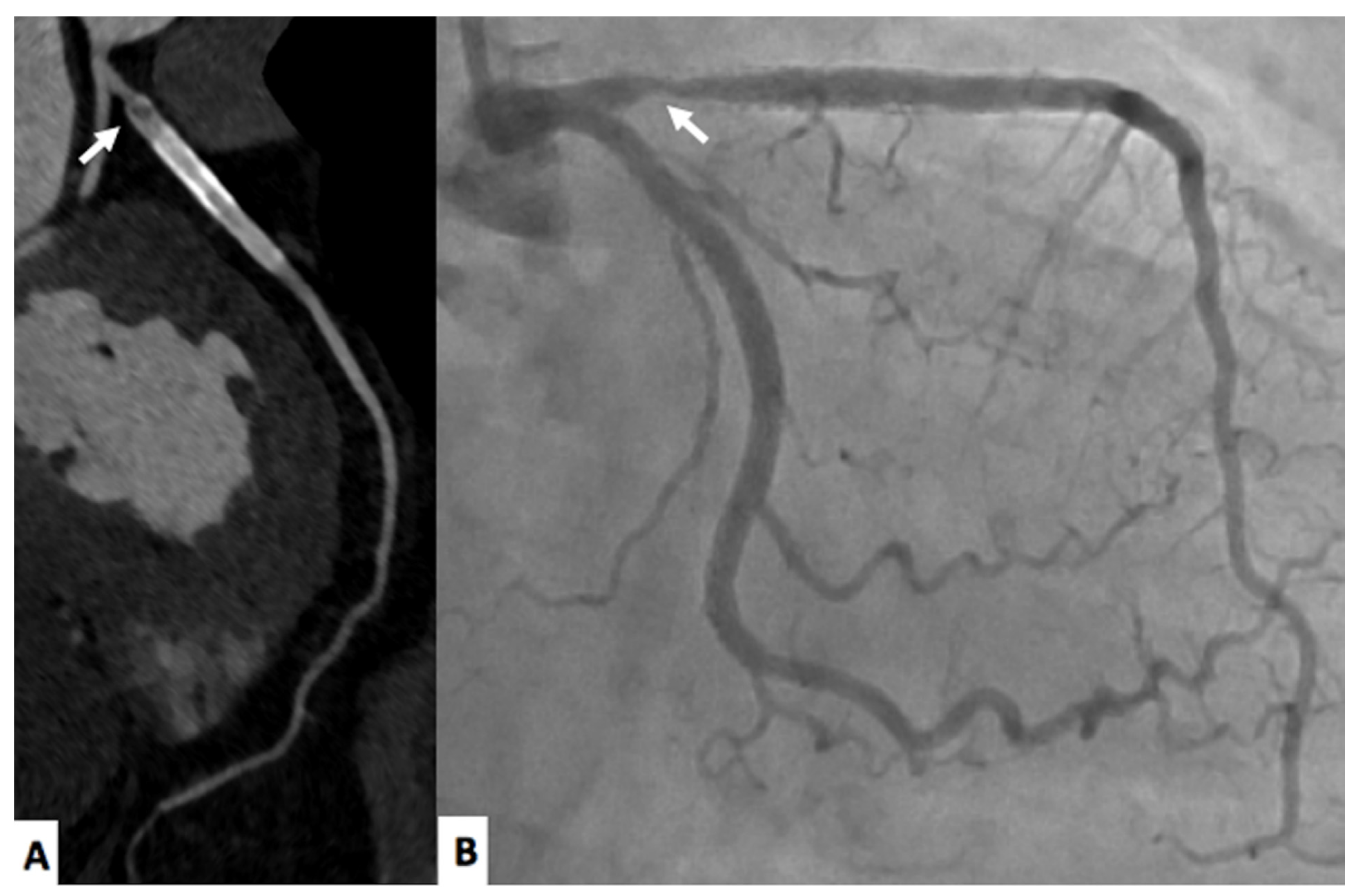 Jimaging 08 00035 g001