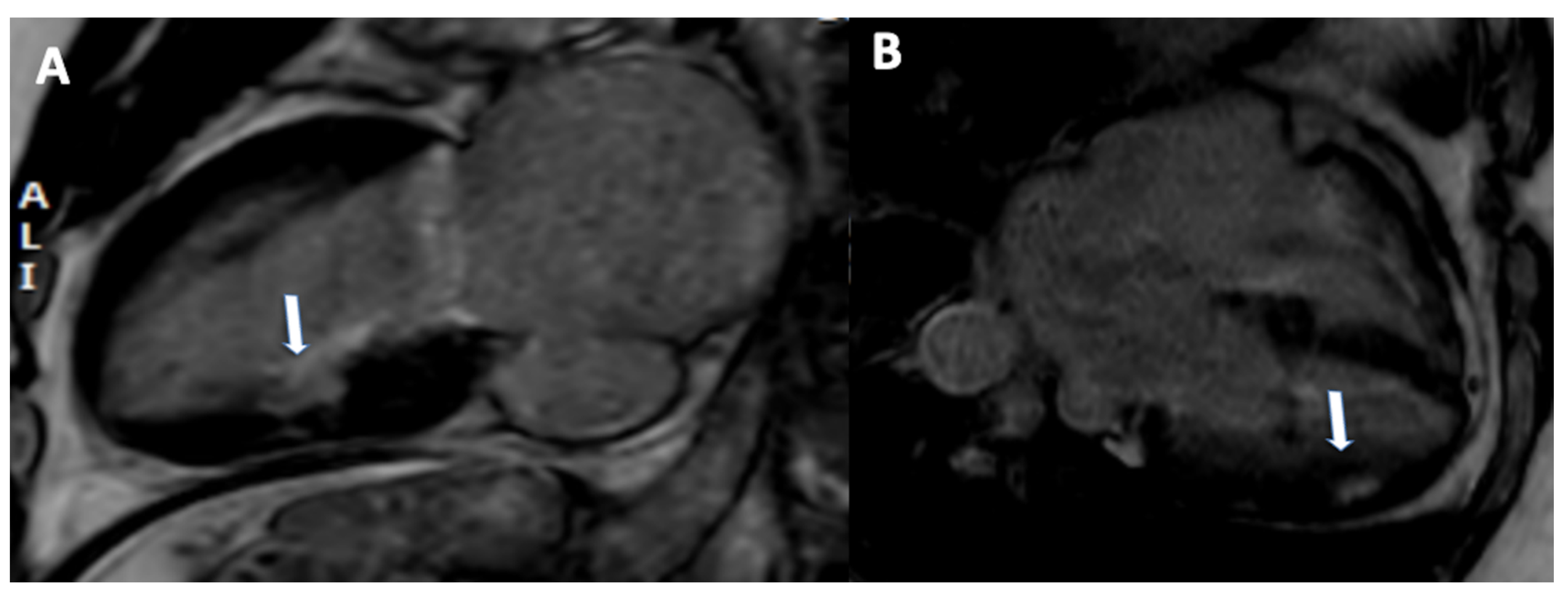 Jimaging 08 00035 g005