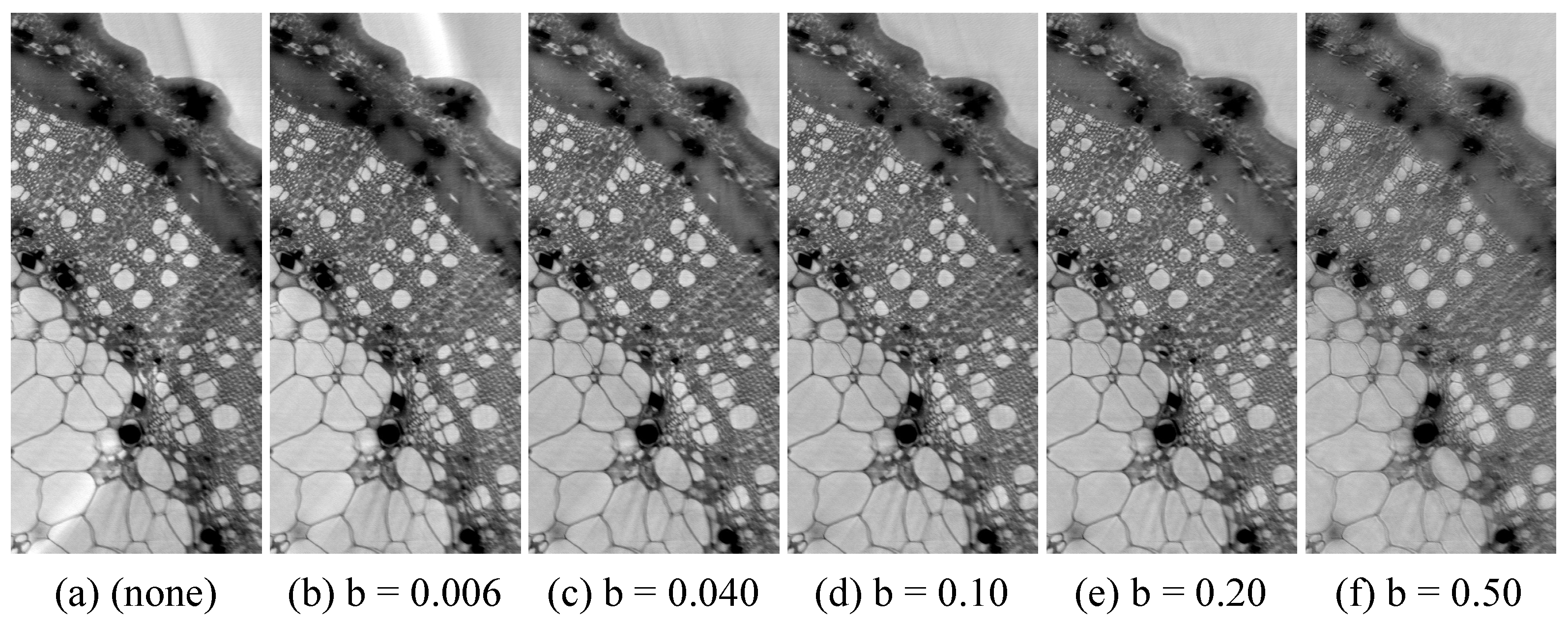 Jimaging 08 00037 g002