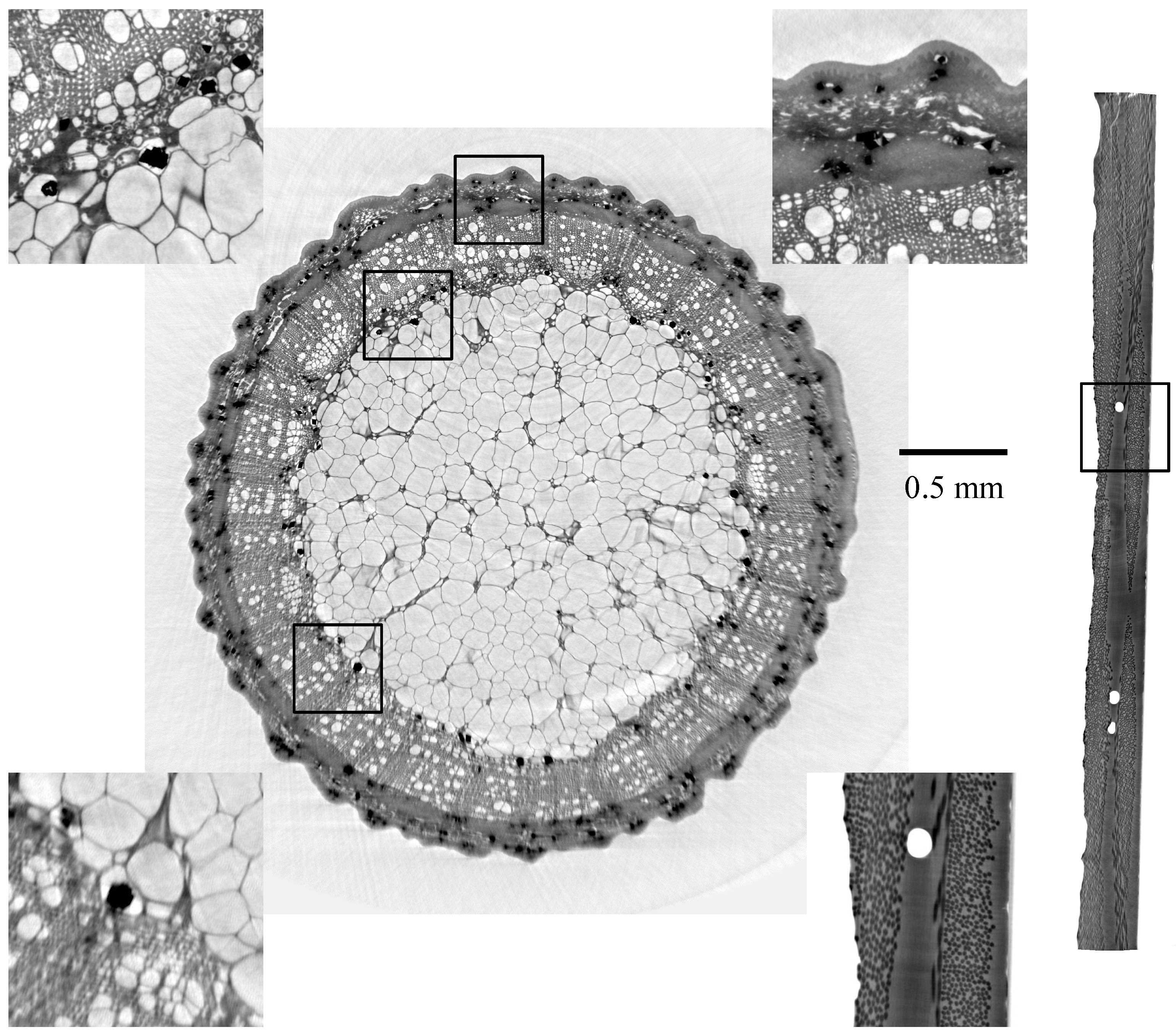 Jimaging 08 00037 g003