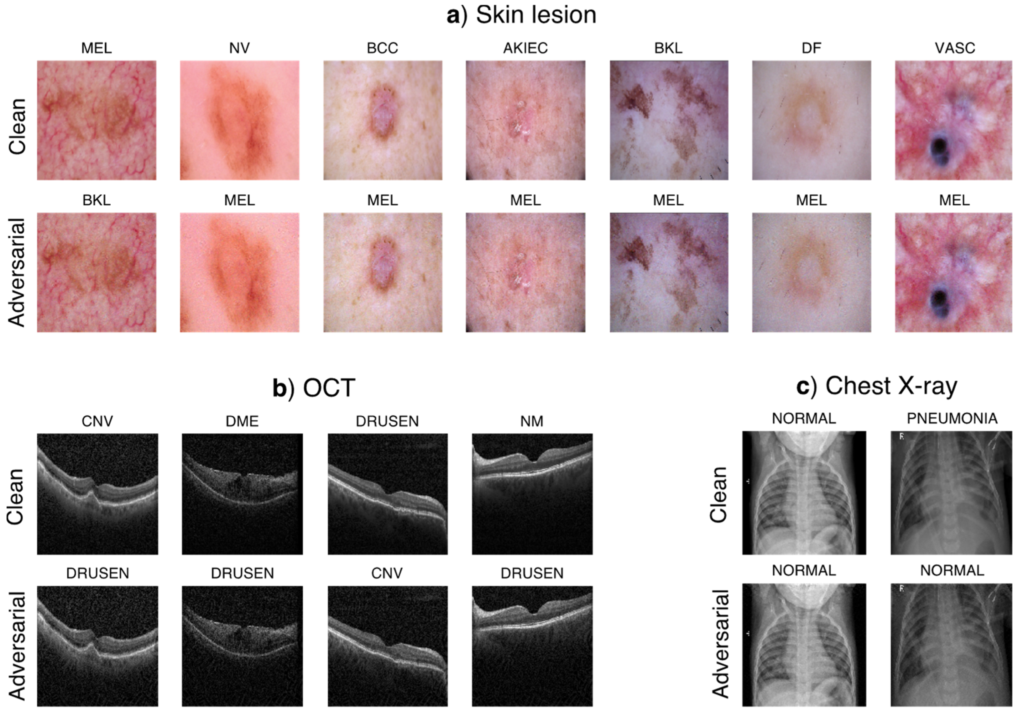 Jimaging 08 00038 g002