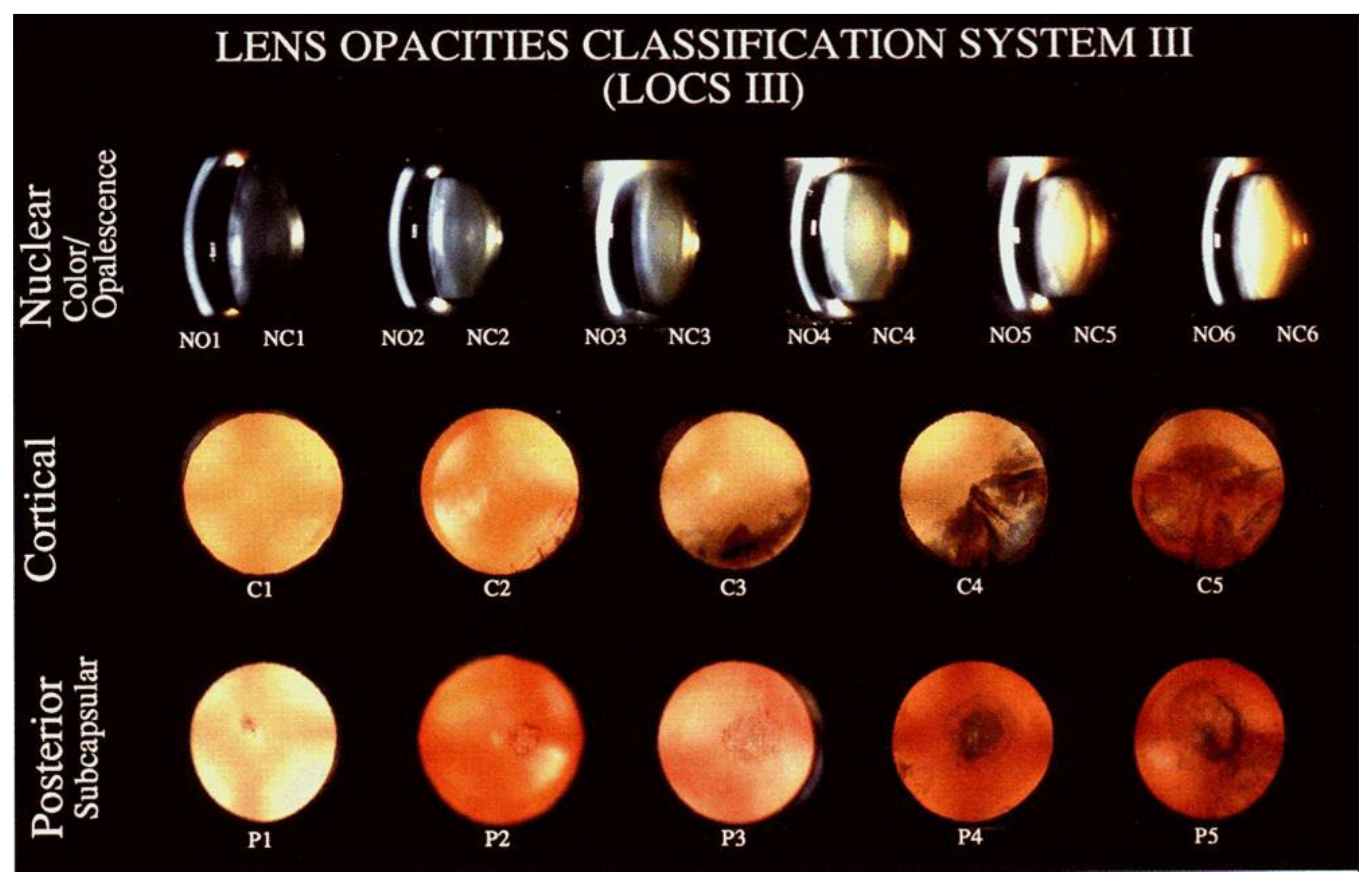 Jimaging 08 00041 g002