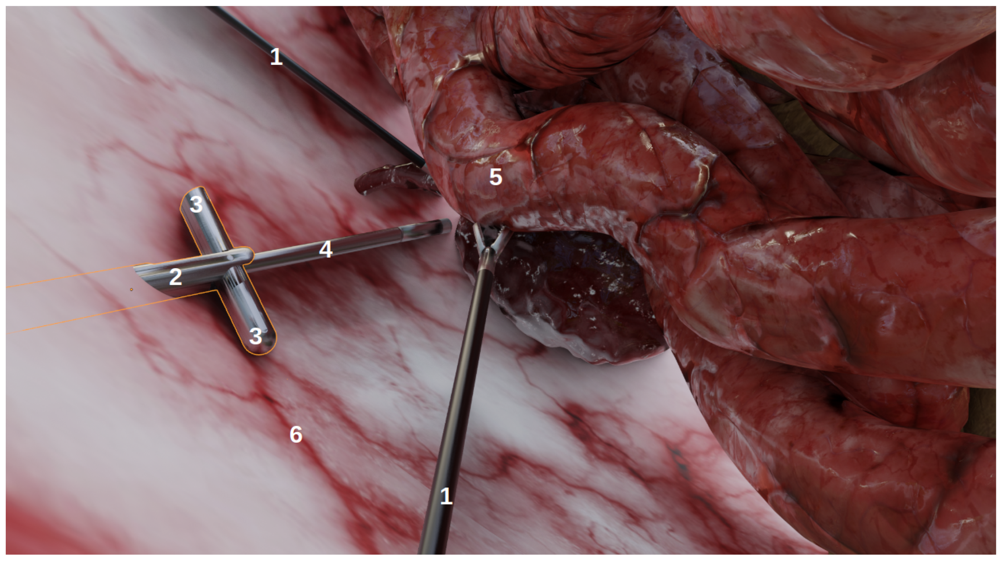 Jimaging 08 00052 g001