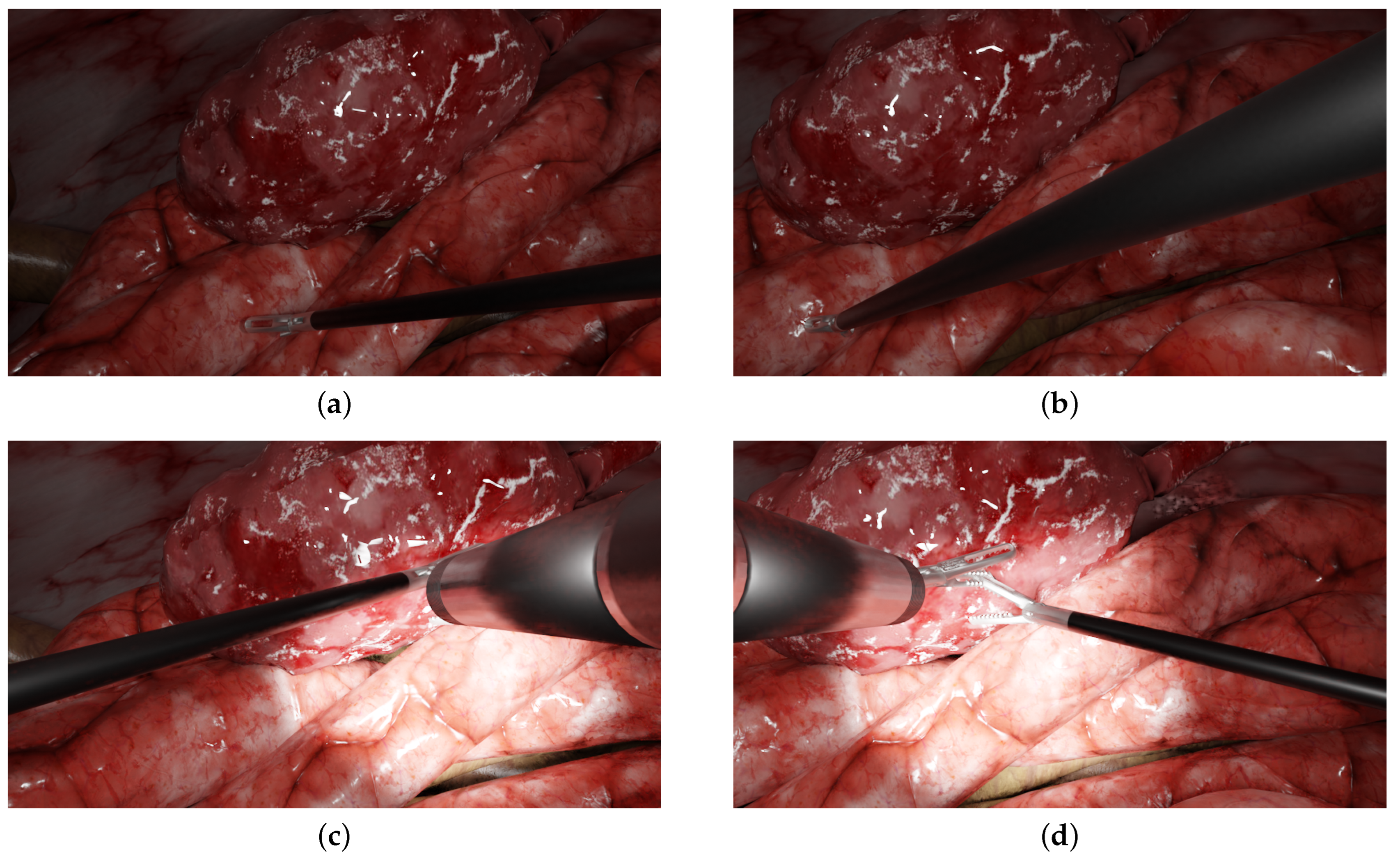 Jimaging 08 00052 g002