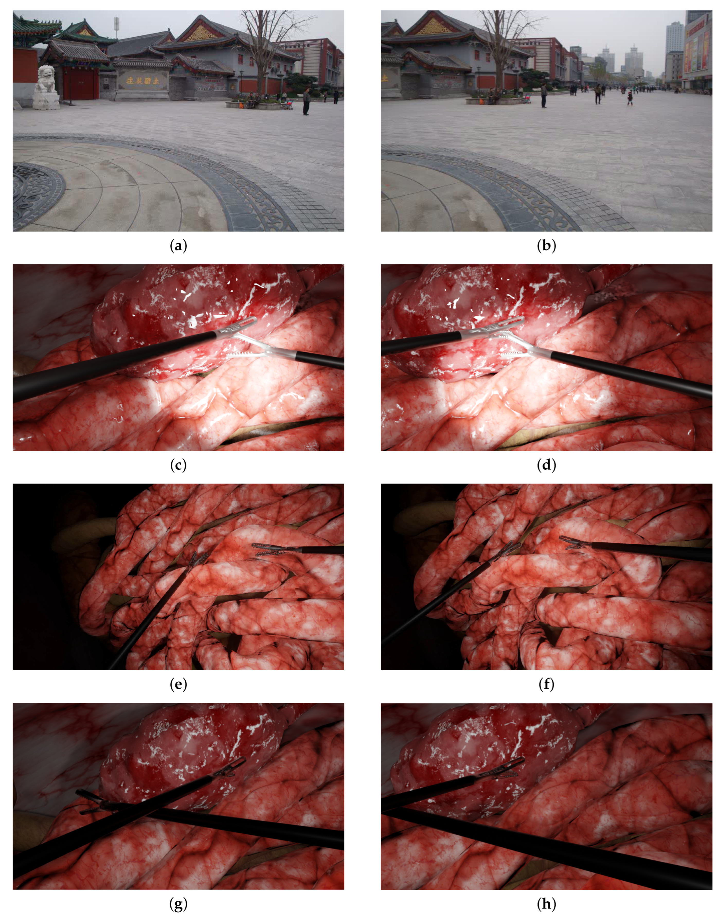 Jimaging 08 00052 g003