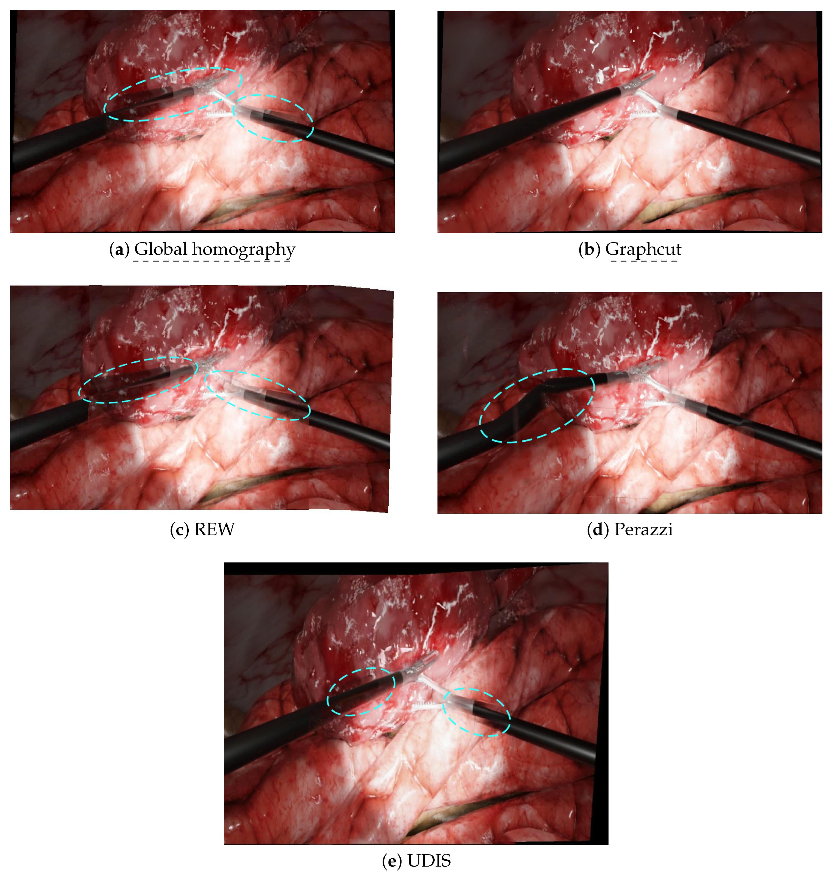 Jimaging 08 00052 g005