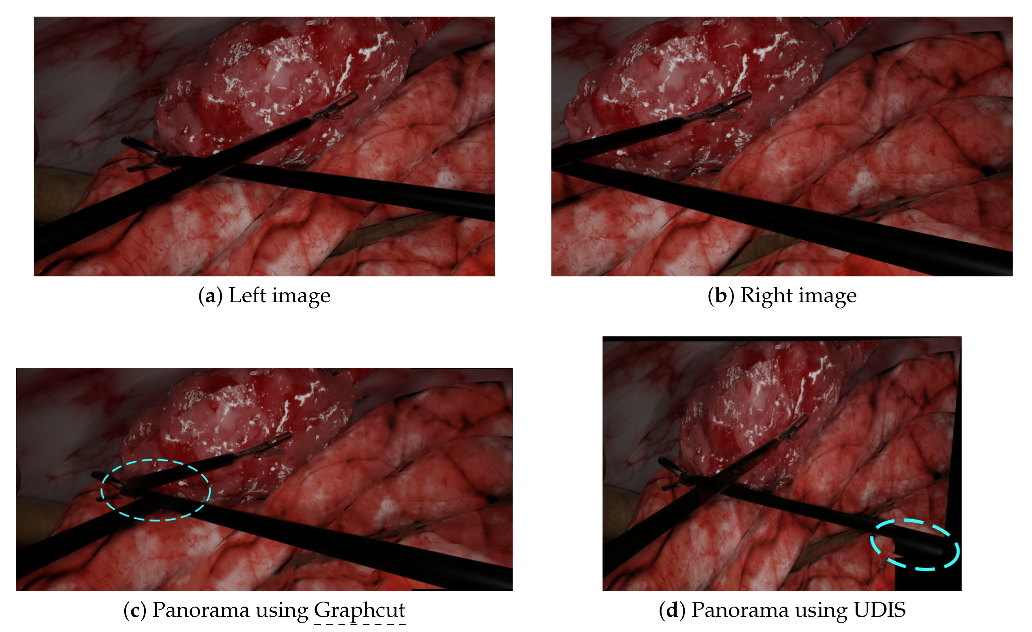 Jimaging 08 00052 g007