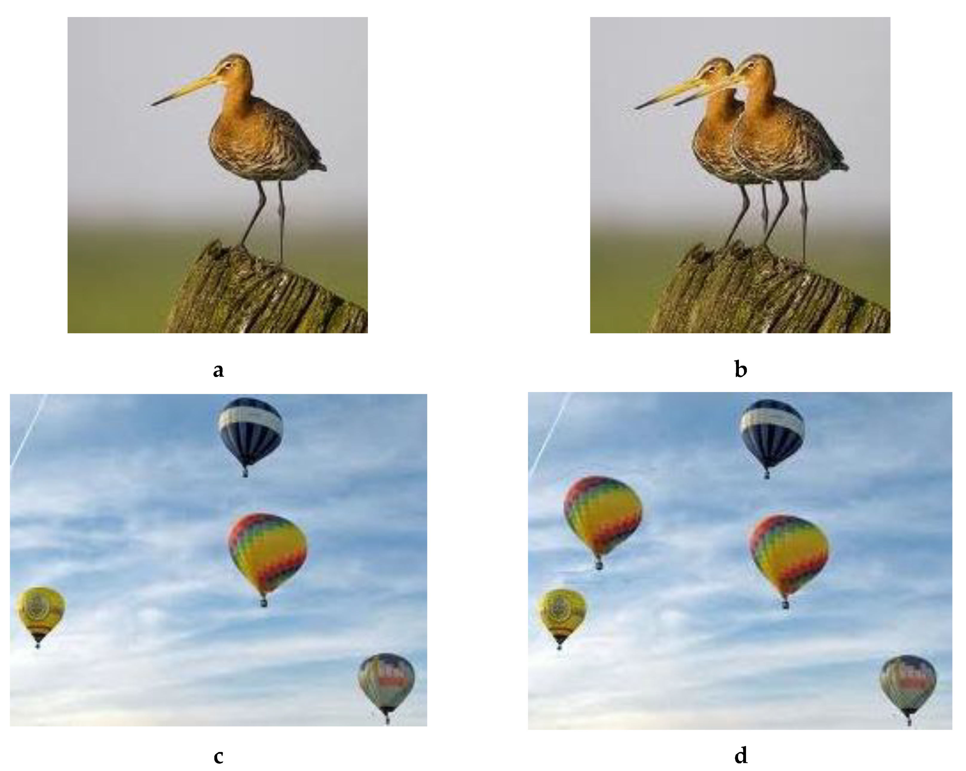 Jimaging 08 00069 g009