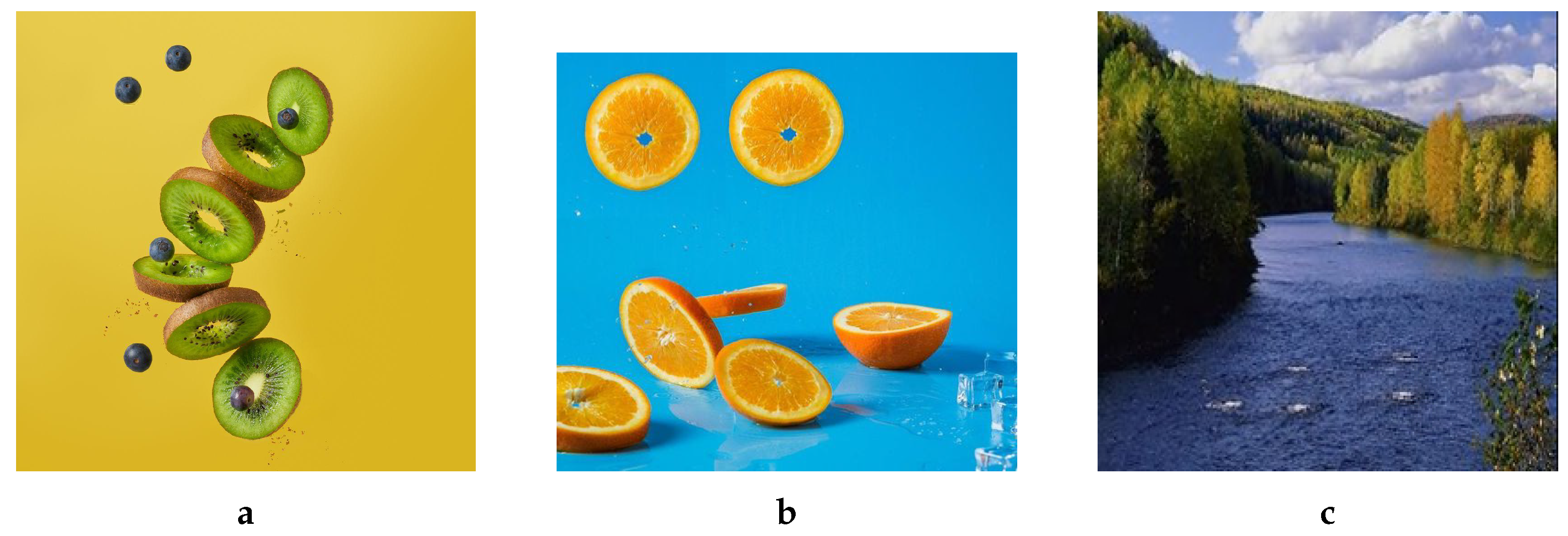 Jimaging 08 00069 g013