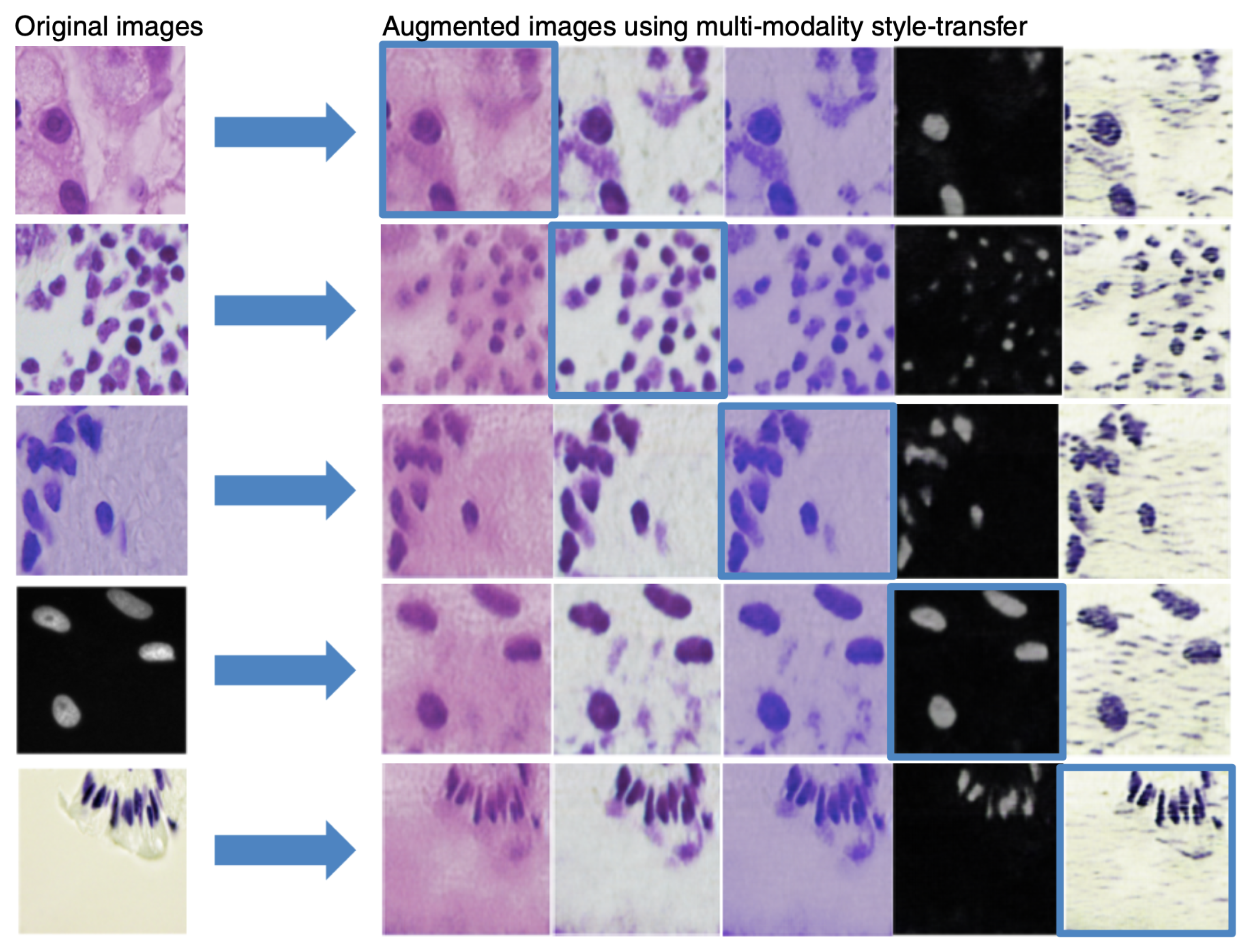 Jimaging 08 00071 g003