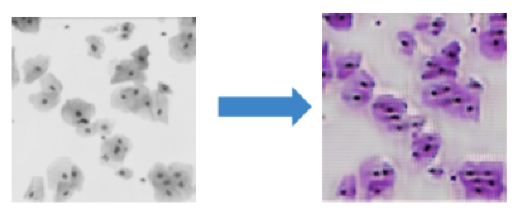 Jimaging 08 00071 g005