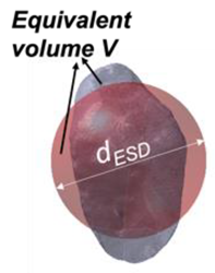 Jimaging 08 00072 i002