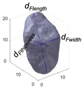 Jimaging 08 00072 i004