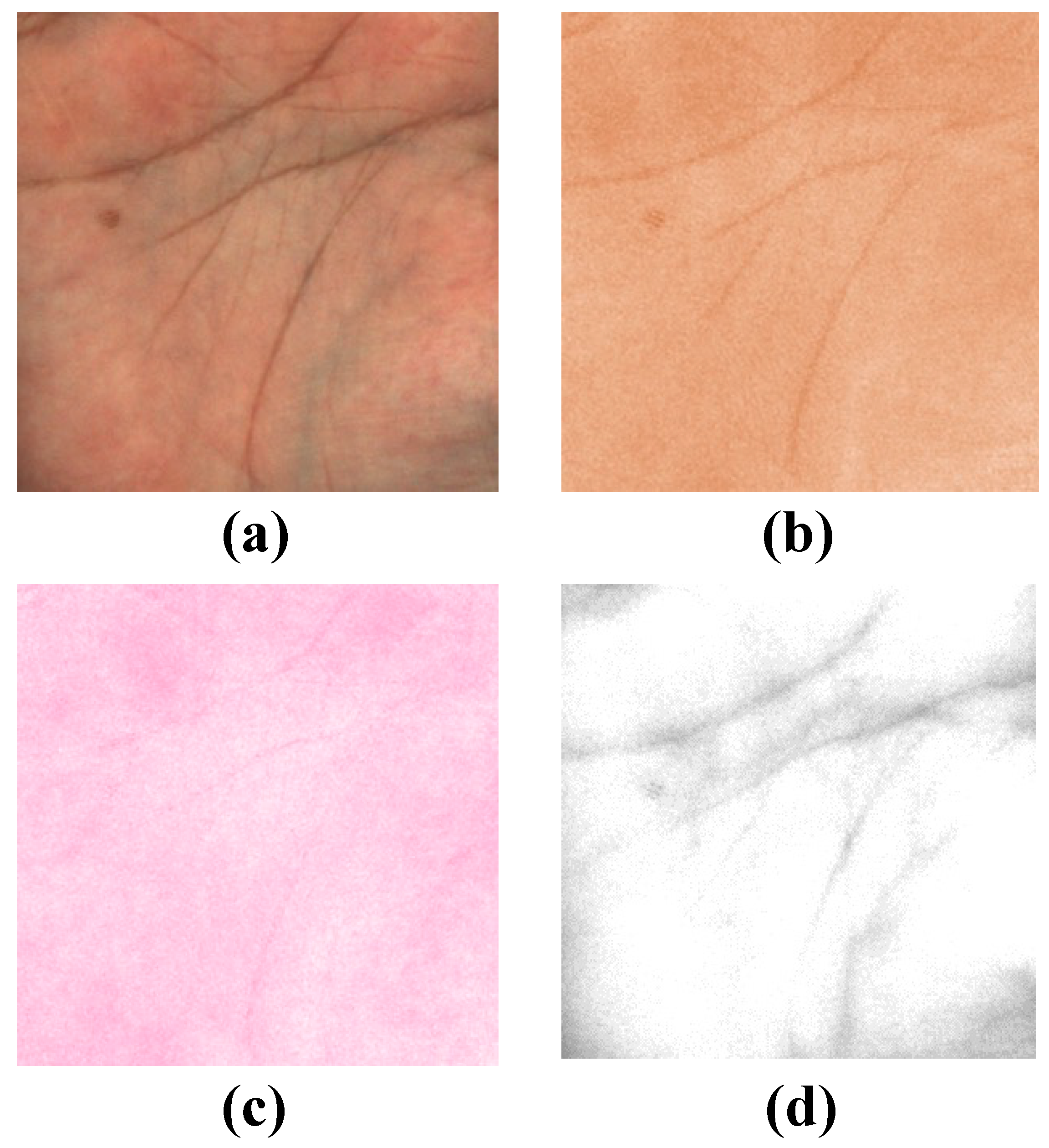 Jimaging 08 00073 g001