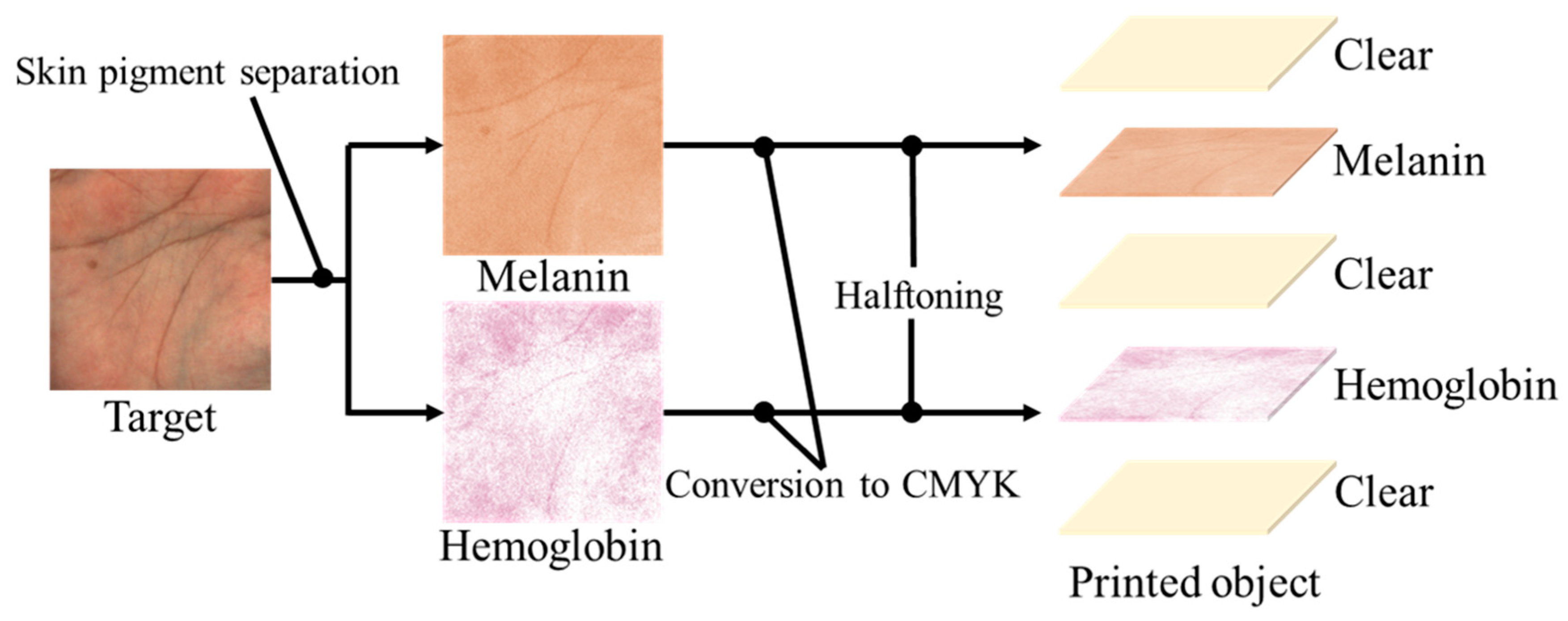 Jimaging 08 00073 g003