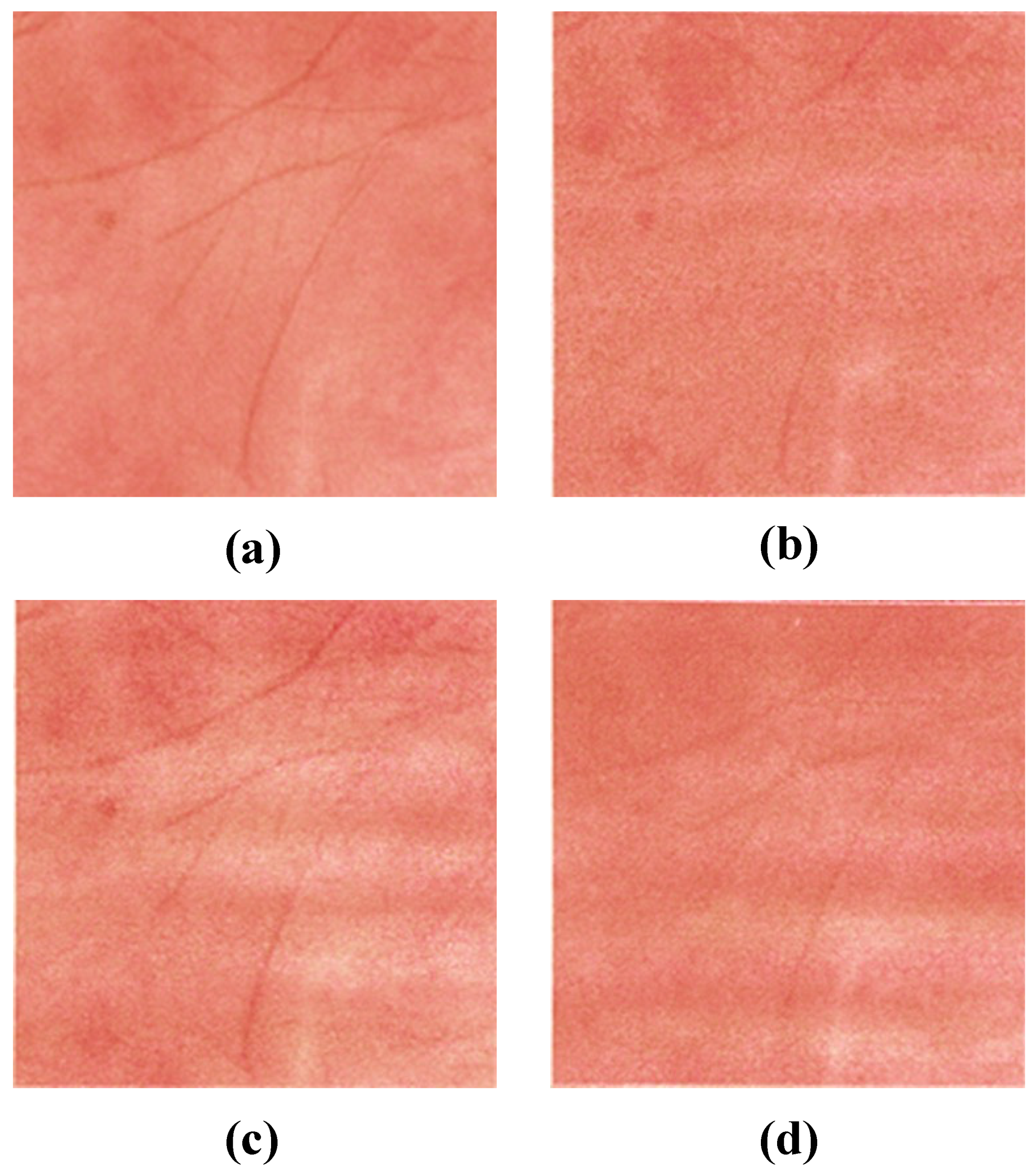 Jimaging 08 00073 g009