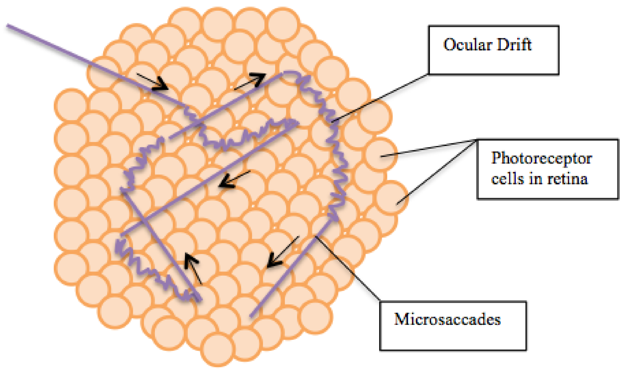 Jimaging 08 00076 g008