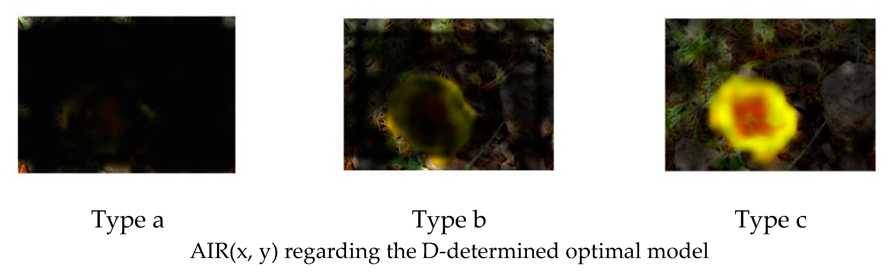 Jimaging 08 00085 g014b