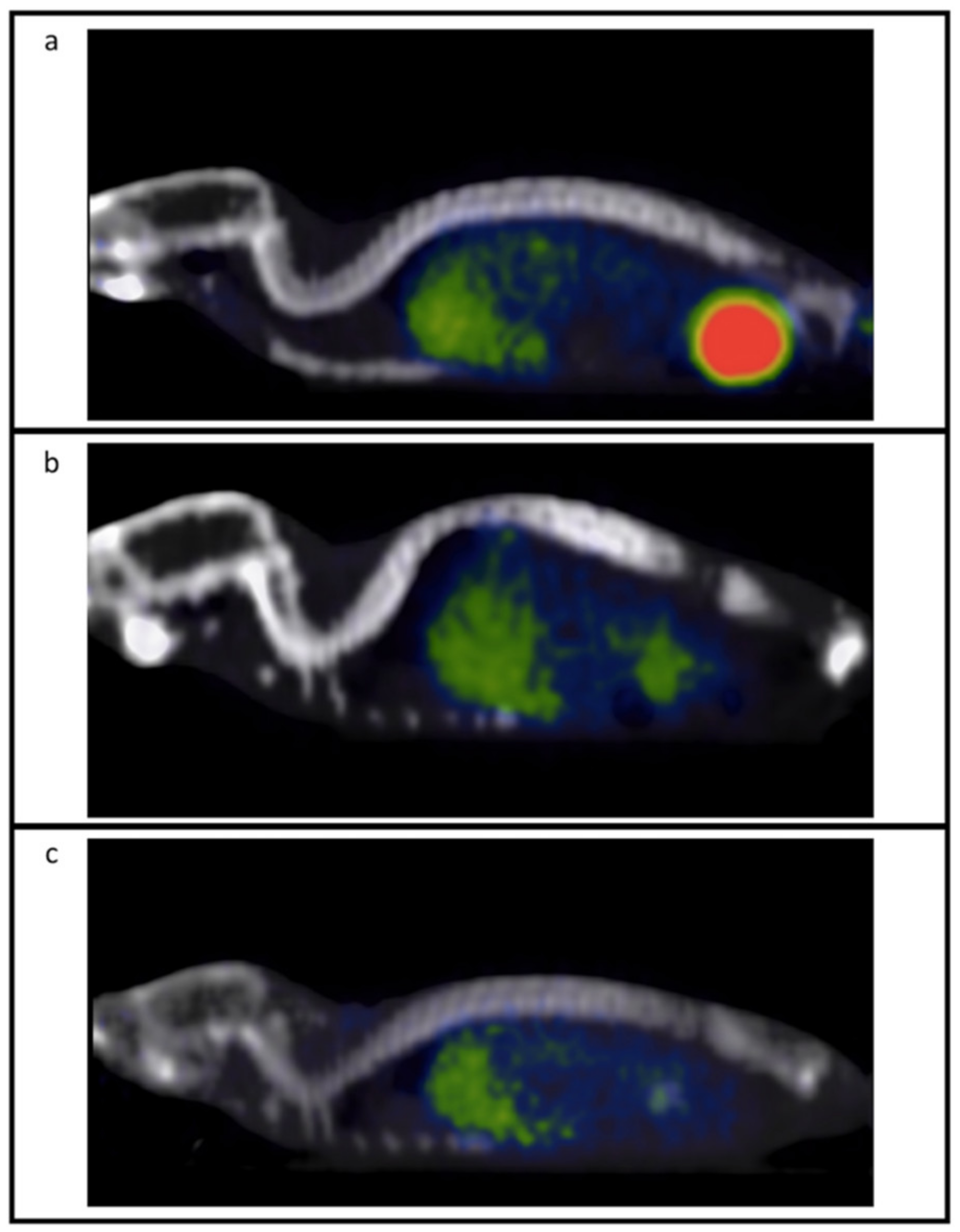 Jimaging 08 00092 g001