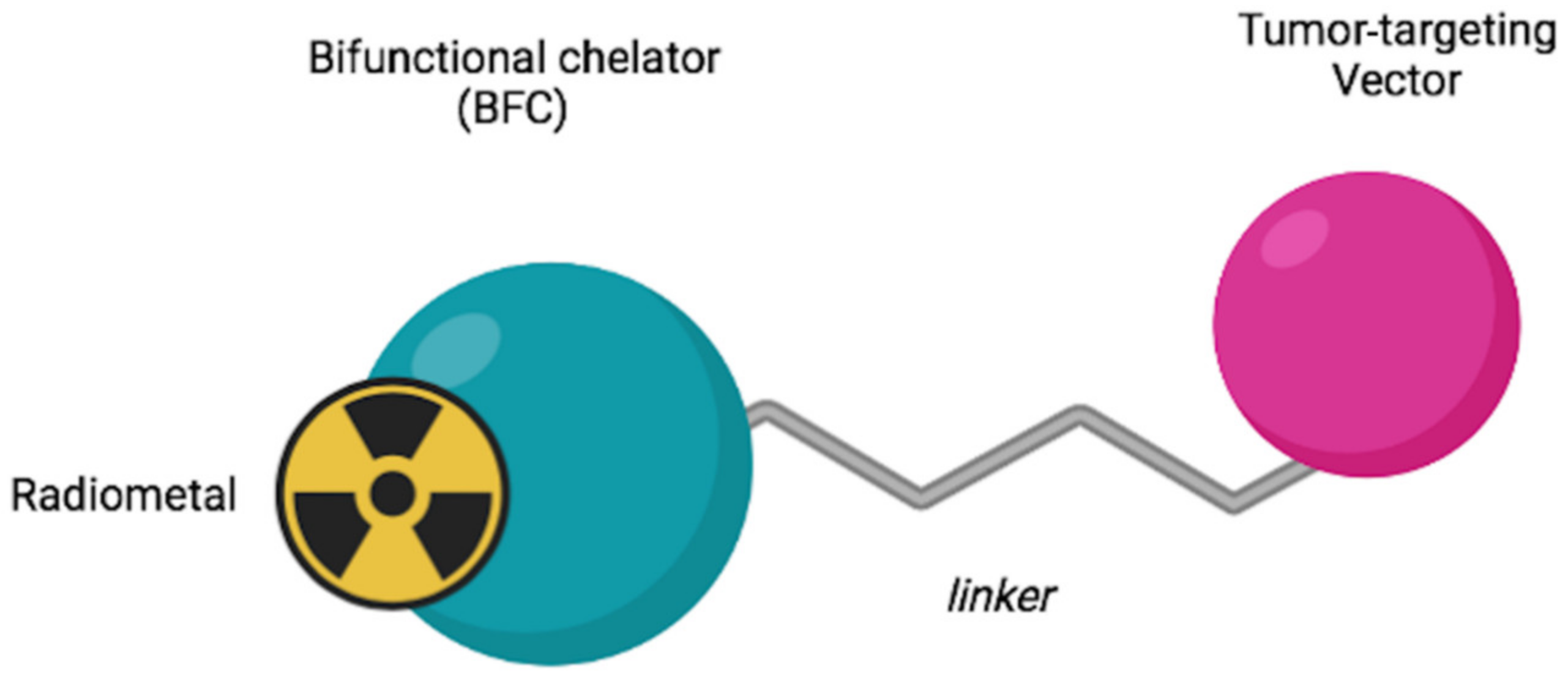 Jimaging 08 00092 g002