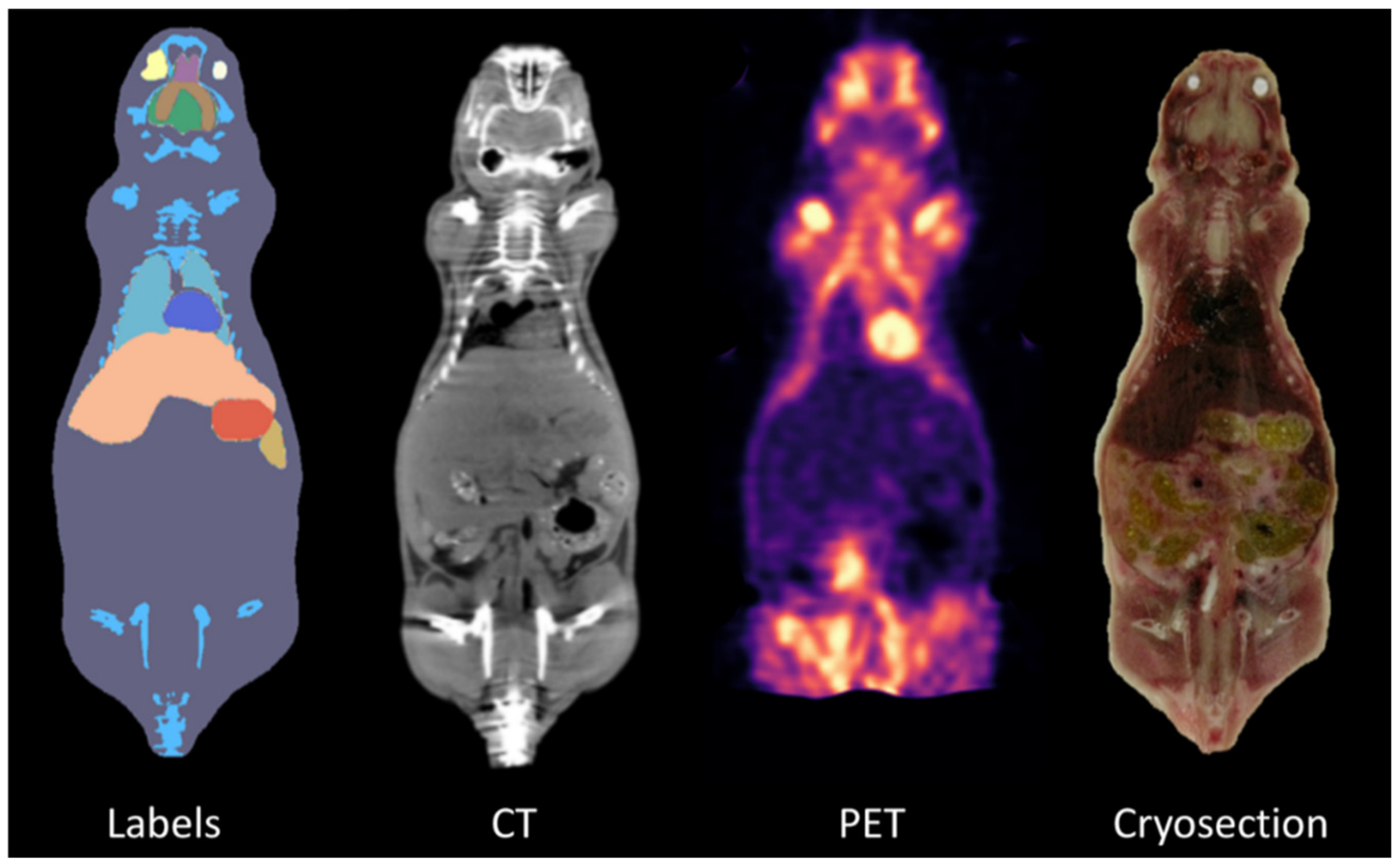 Jimaging 08 00092 g004