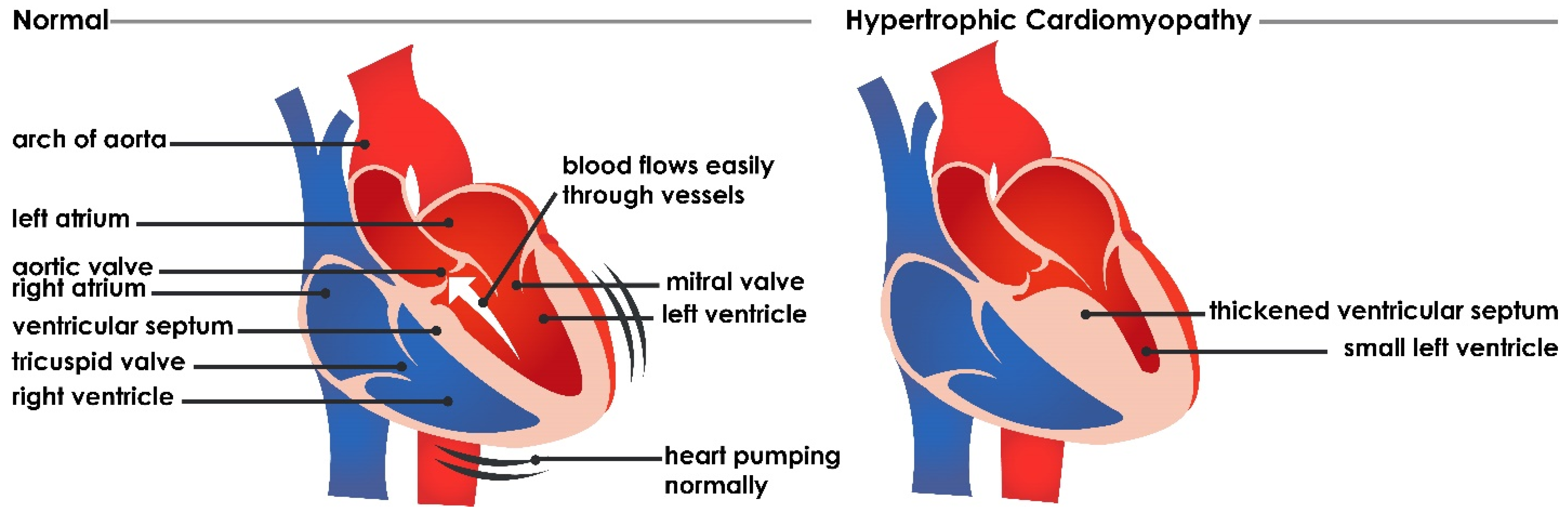 Jimaging 08 00102 g001