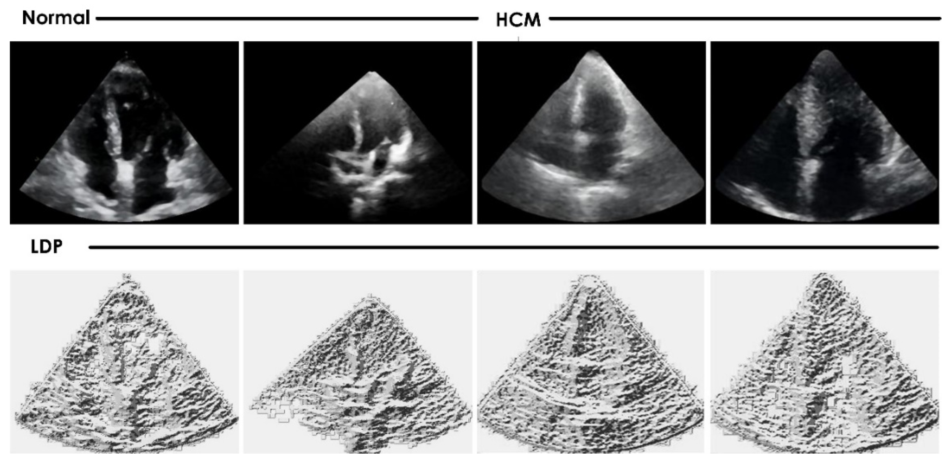 Jimaging 08 00102 g006