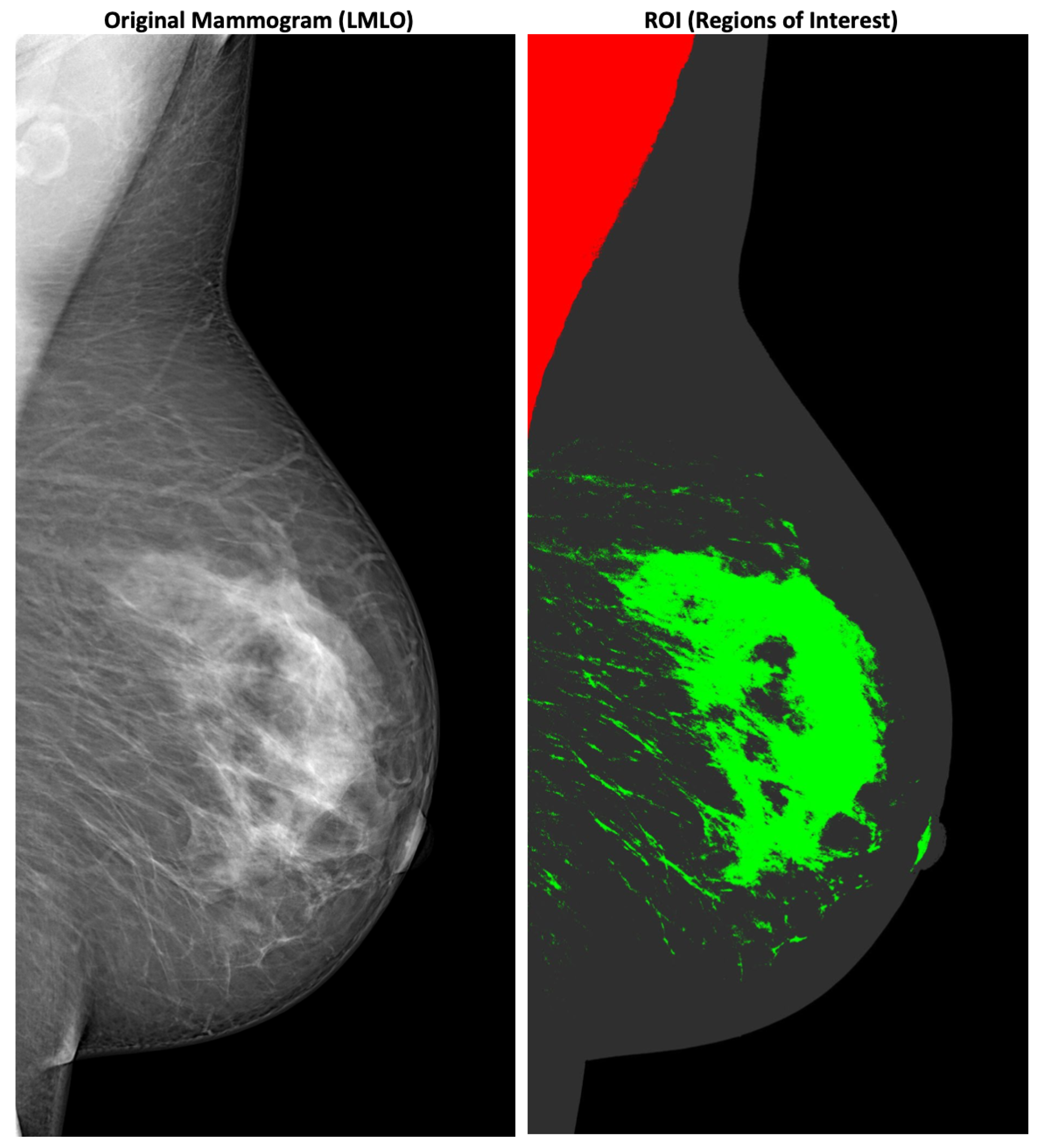 Jimaging 08 00104 g001