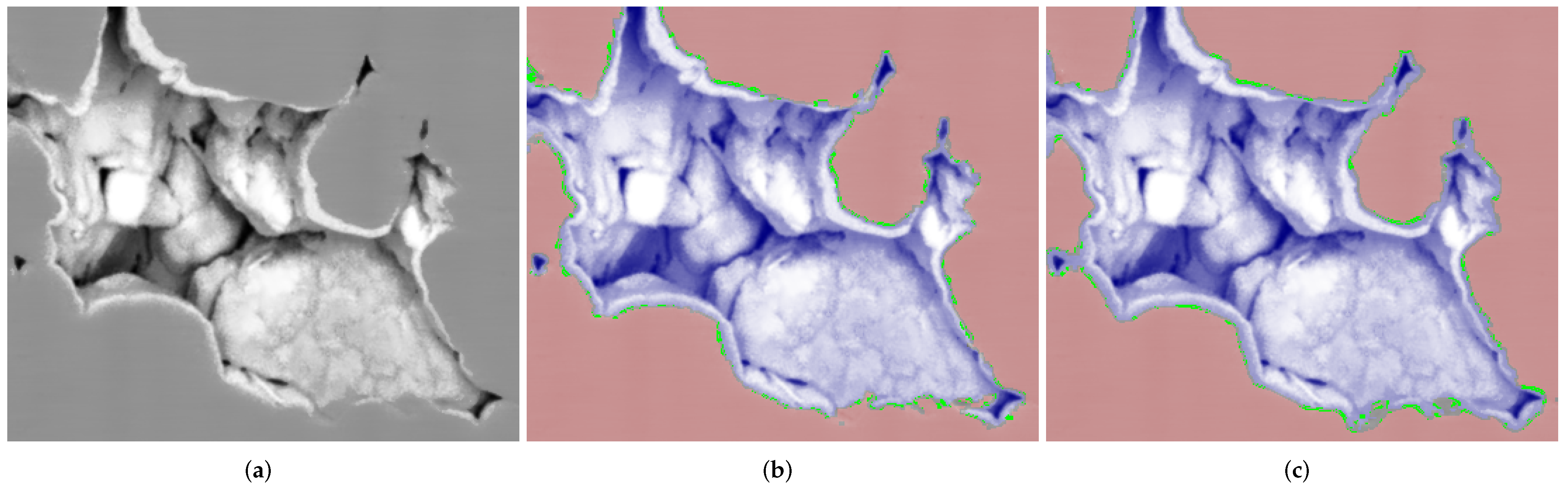 Jimaging 08 00127 g016