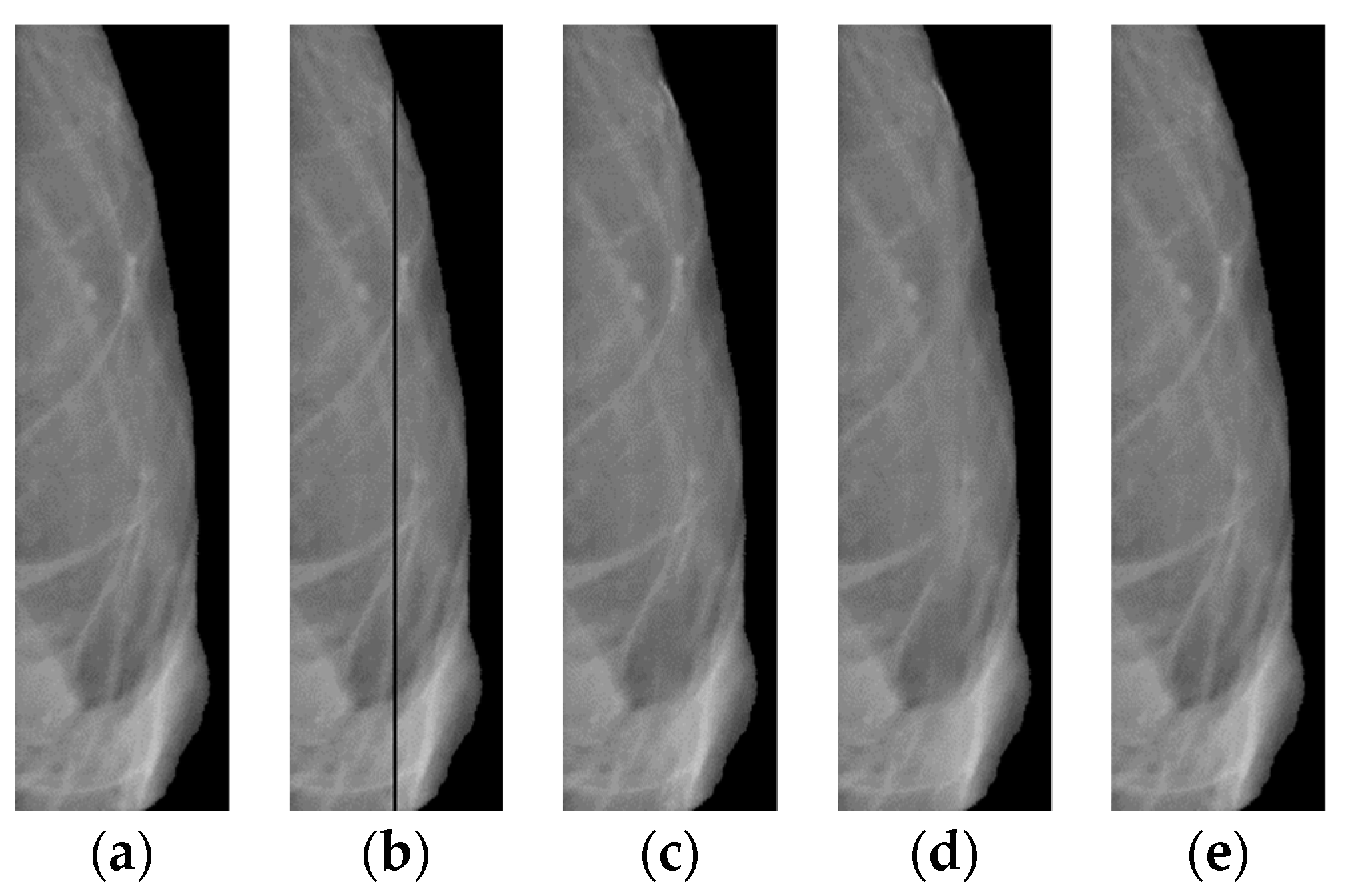 Jimaging 08 00128 g012