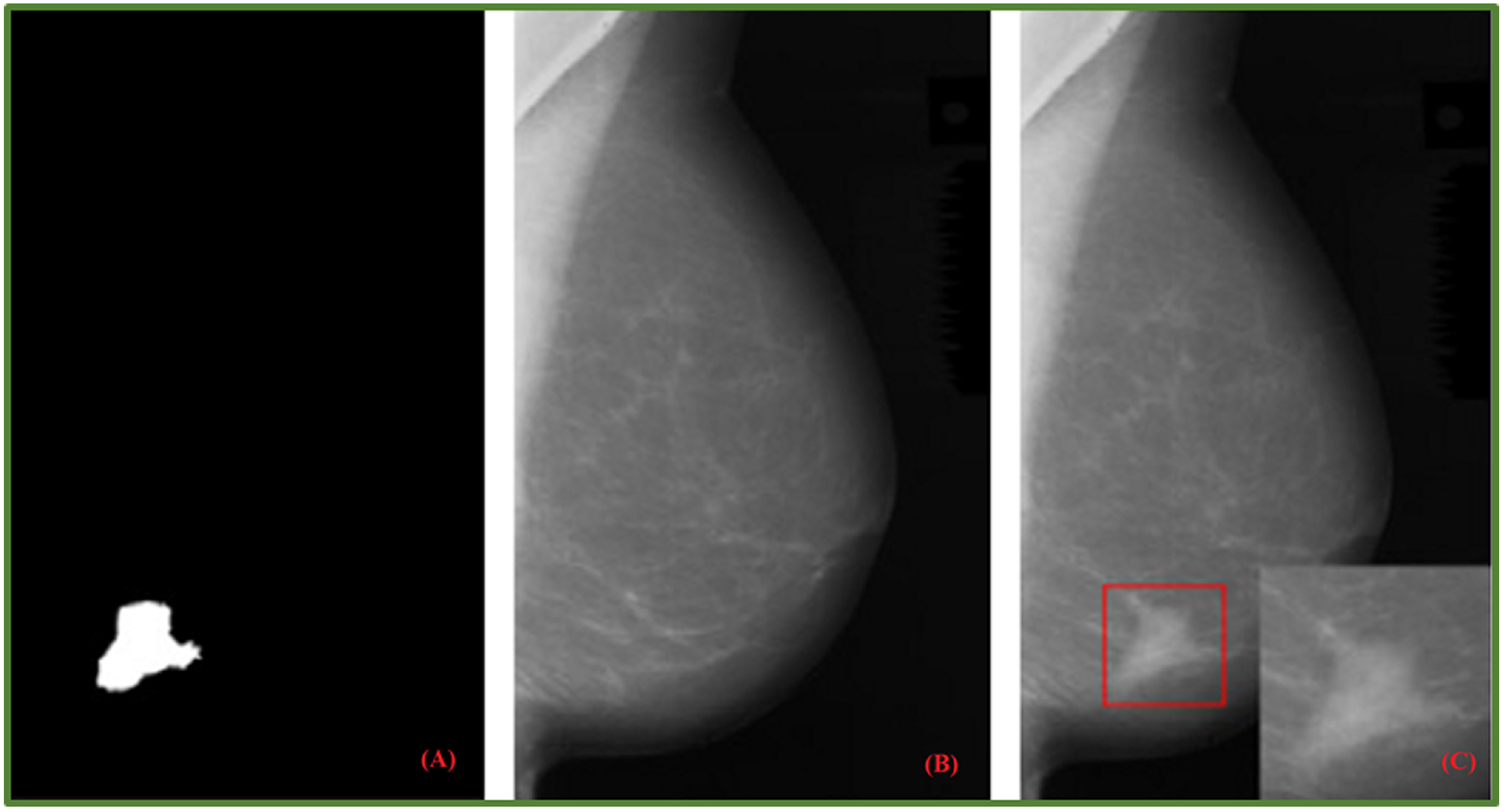 Jimaging 08 00141 g008