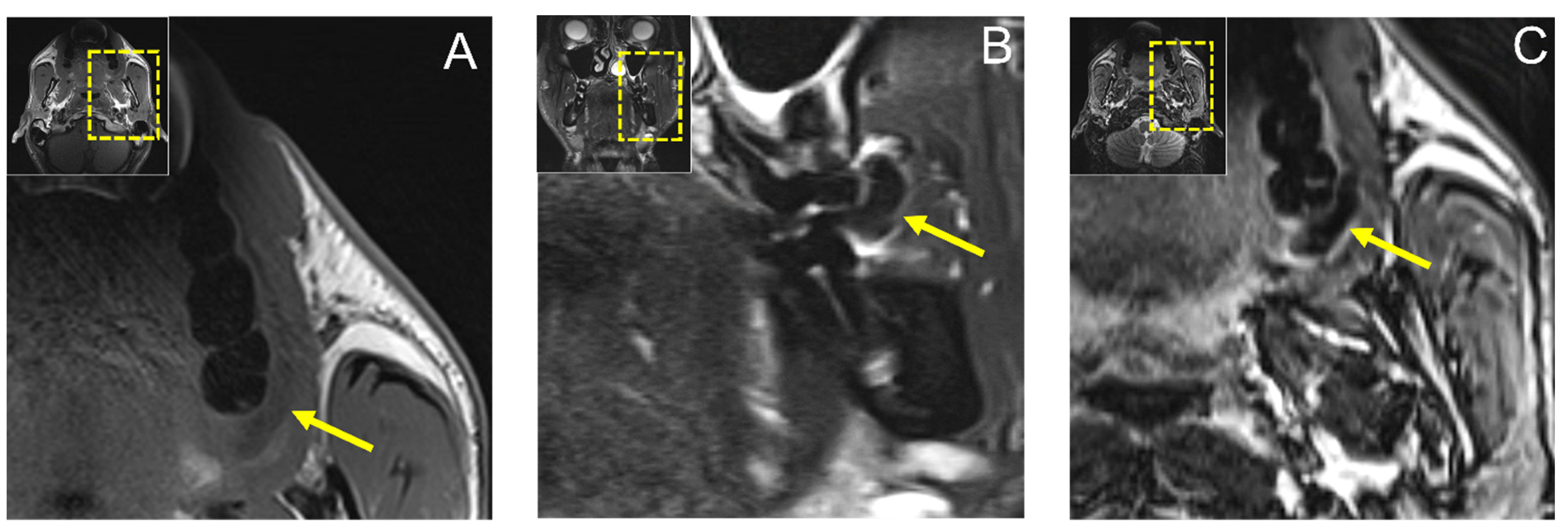 Jimaging 08 00146 g003